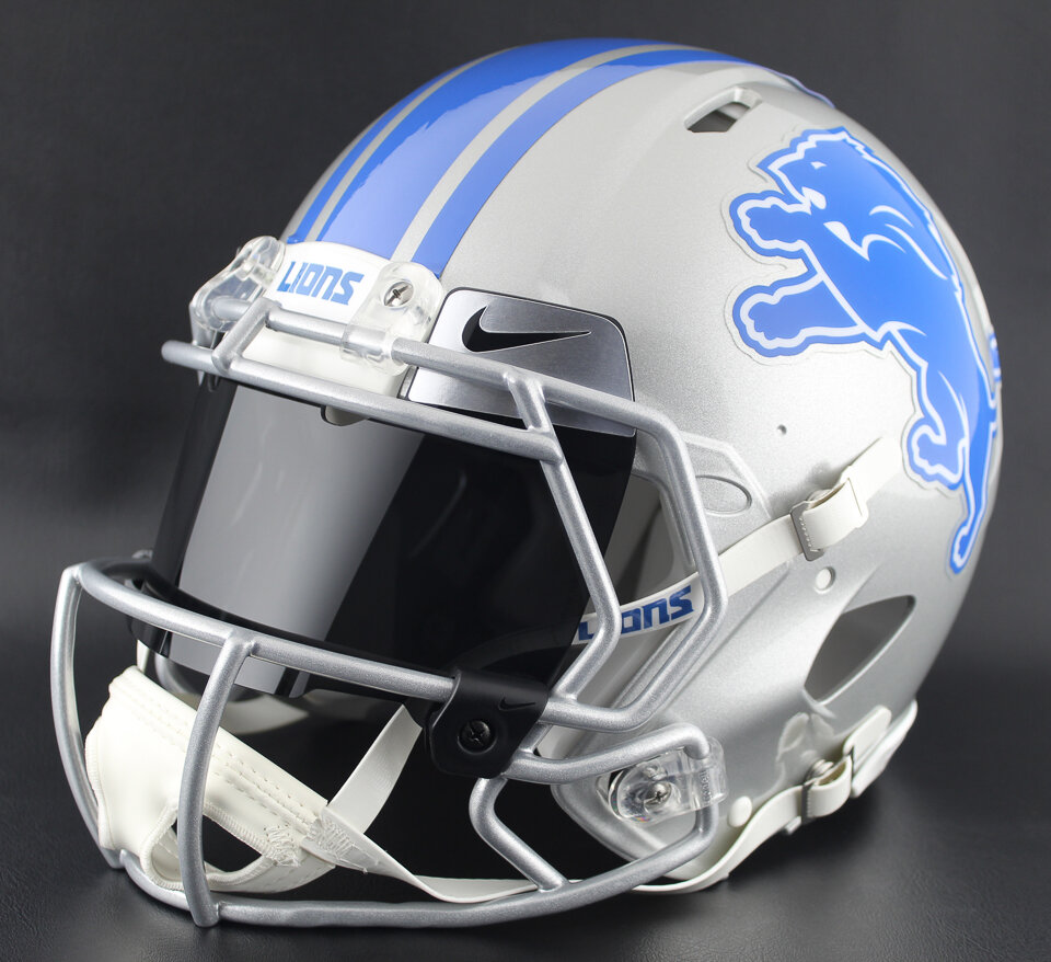 lions 2.jpg