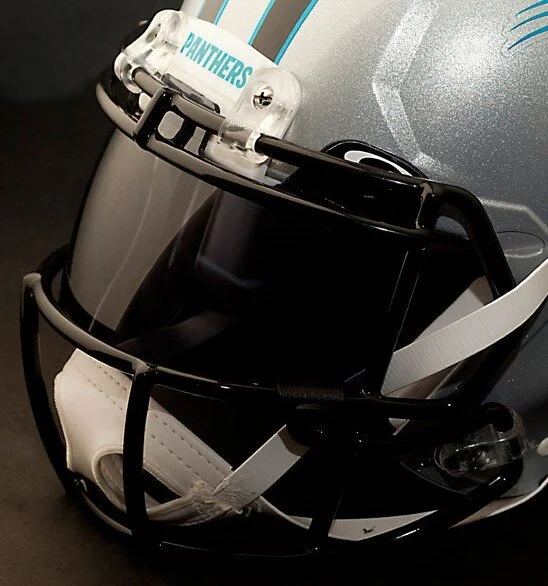s-SP-EYE-PANTHERS (2).jpg