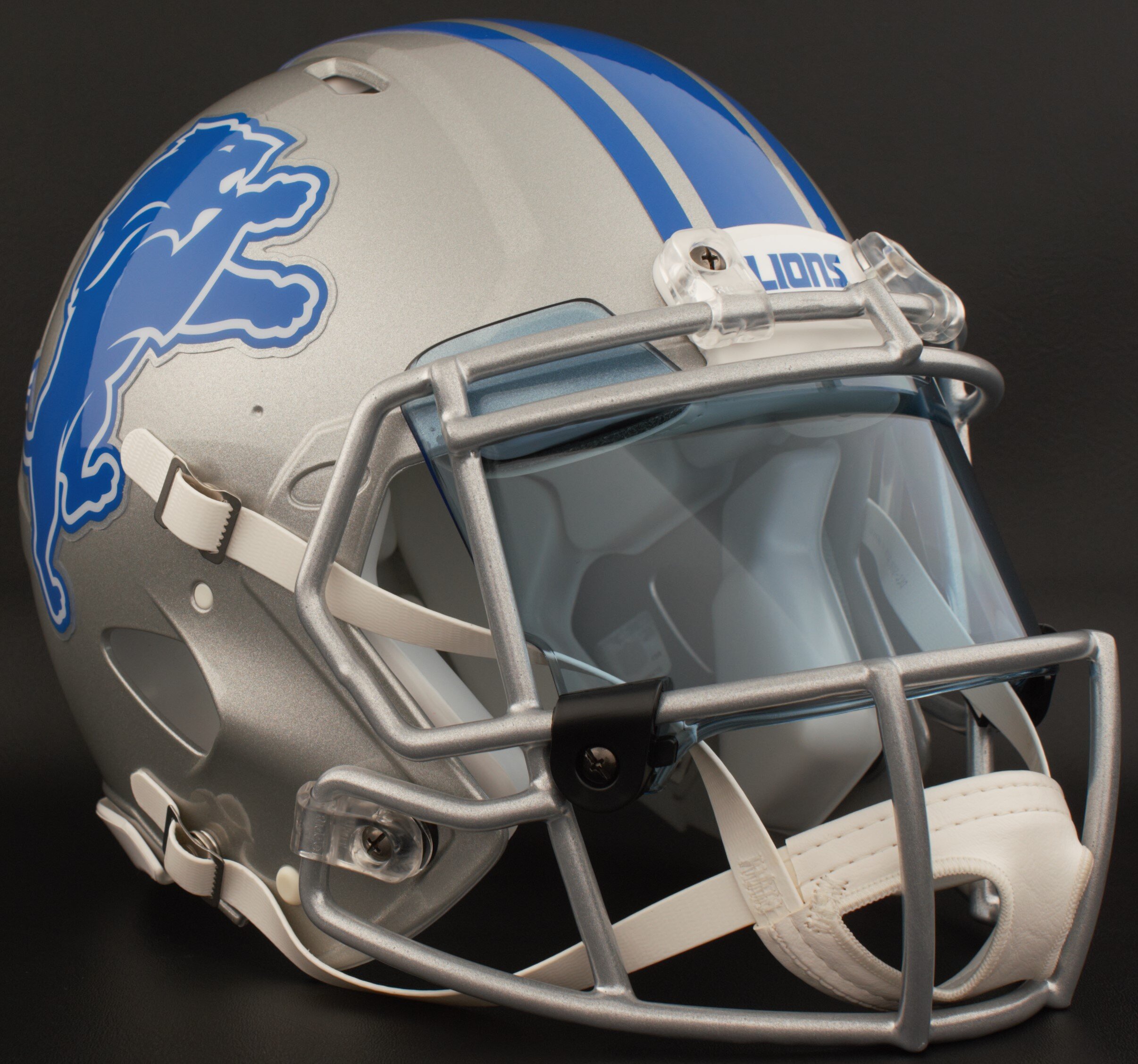 LIONS 1.jpg