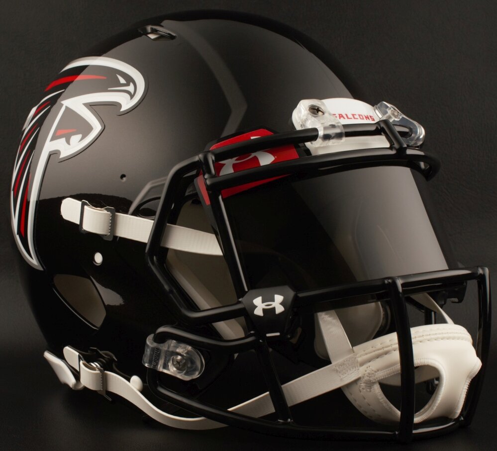 FALCONS 1.jpg