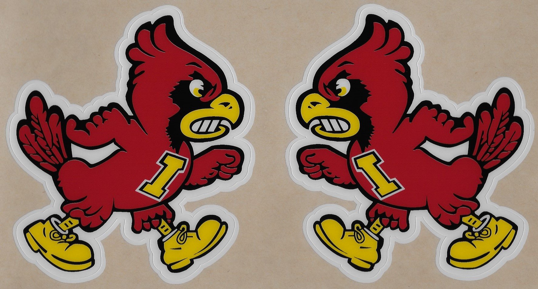 ISU BIRD.jpg
