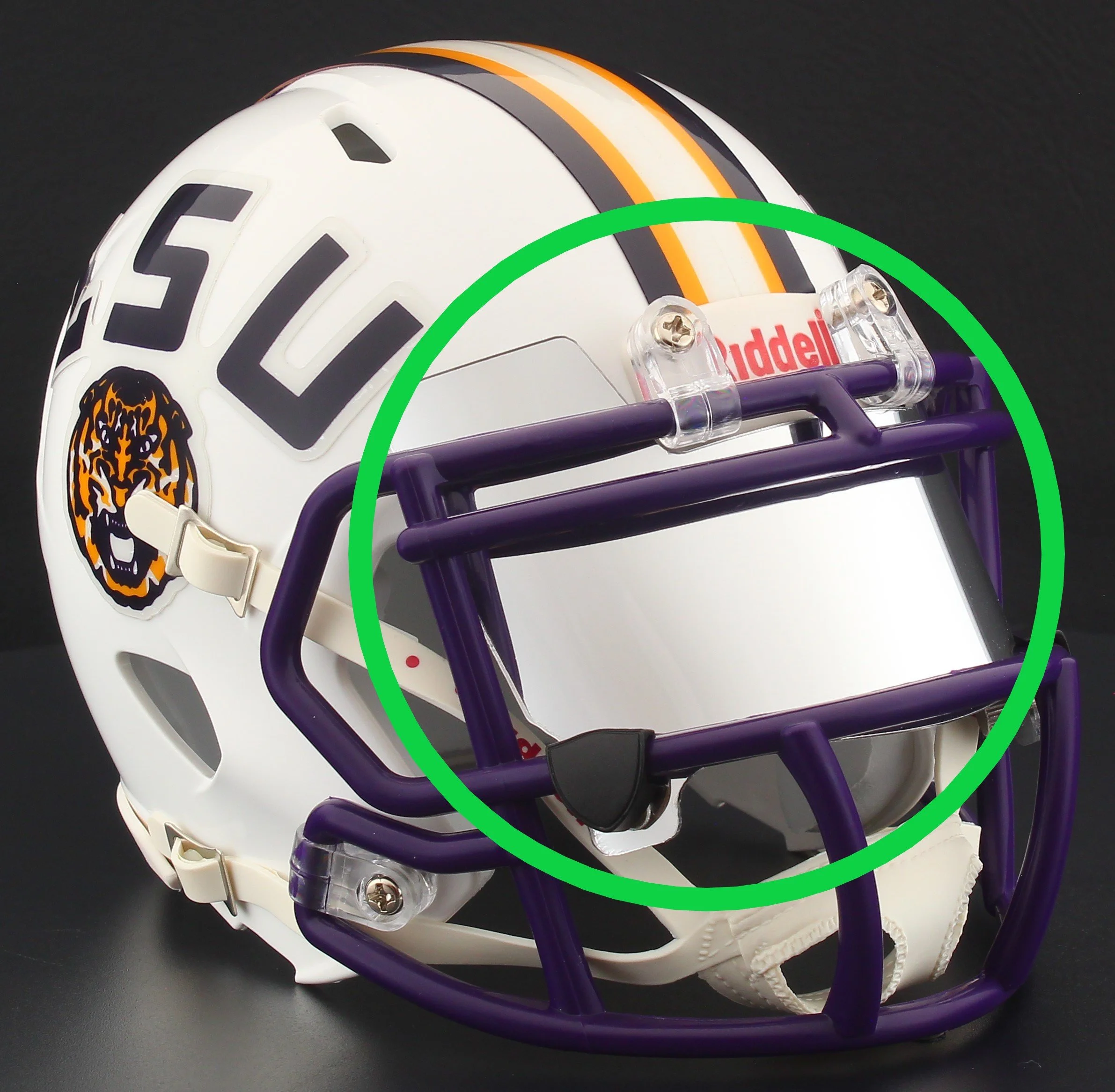 lsuIMG_2261X.jpg