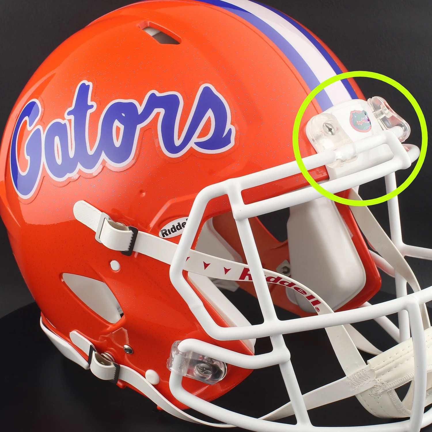 florida gators mini football helmet Golden Classic Logo Display Case Super Sports Center a shelf Fred Taylor Autographed Florida Gators