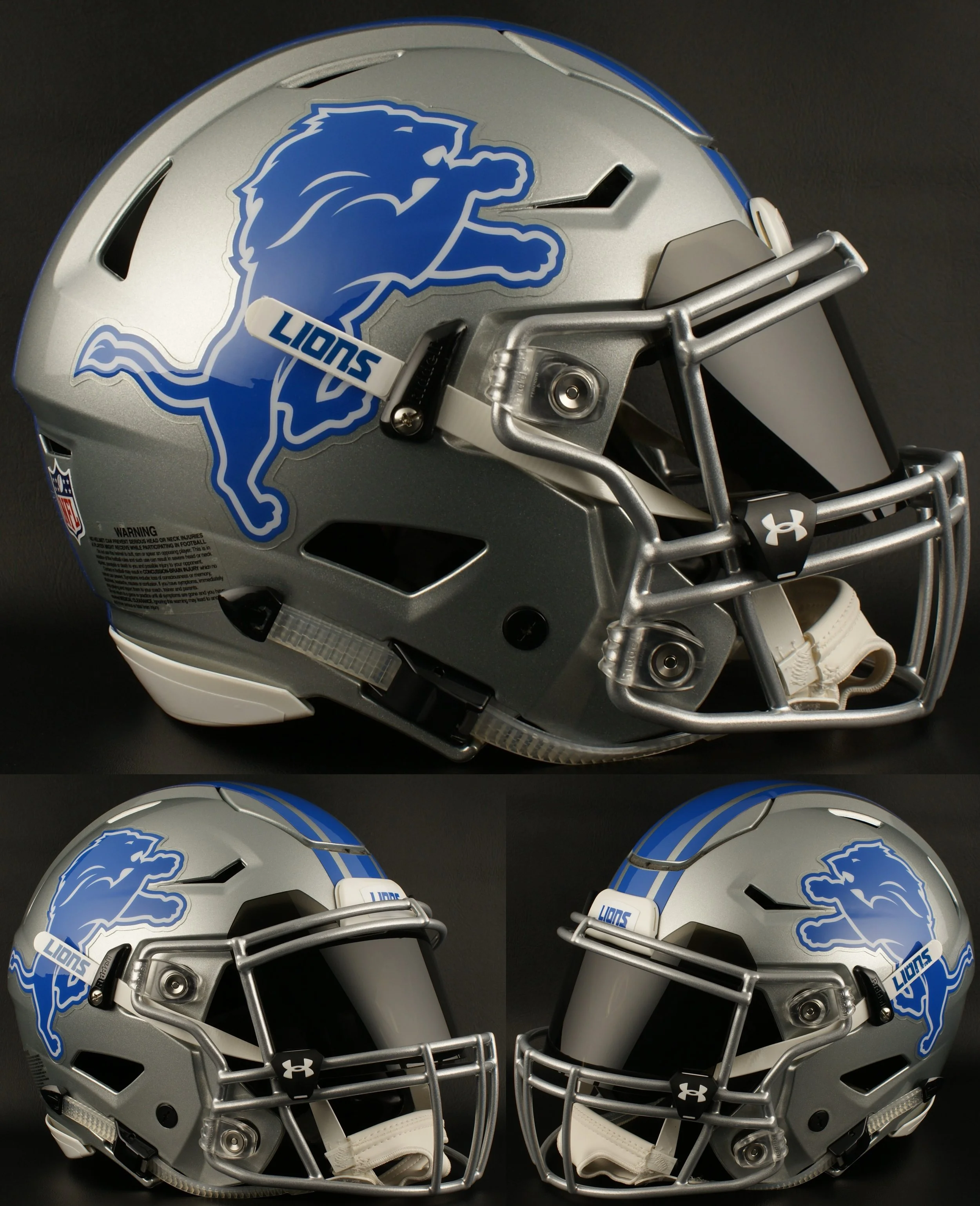 LION 4.jpg