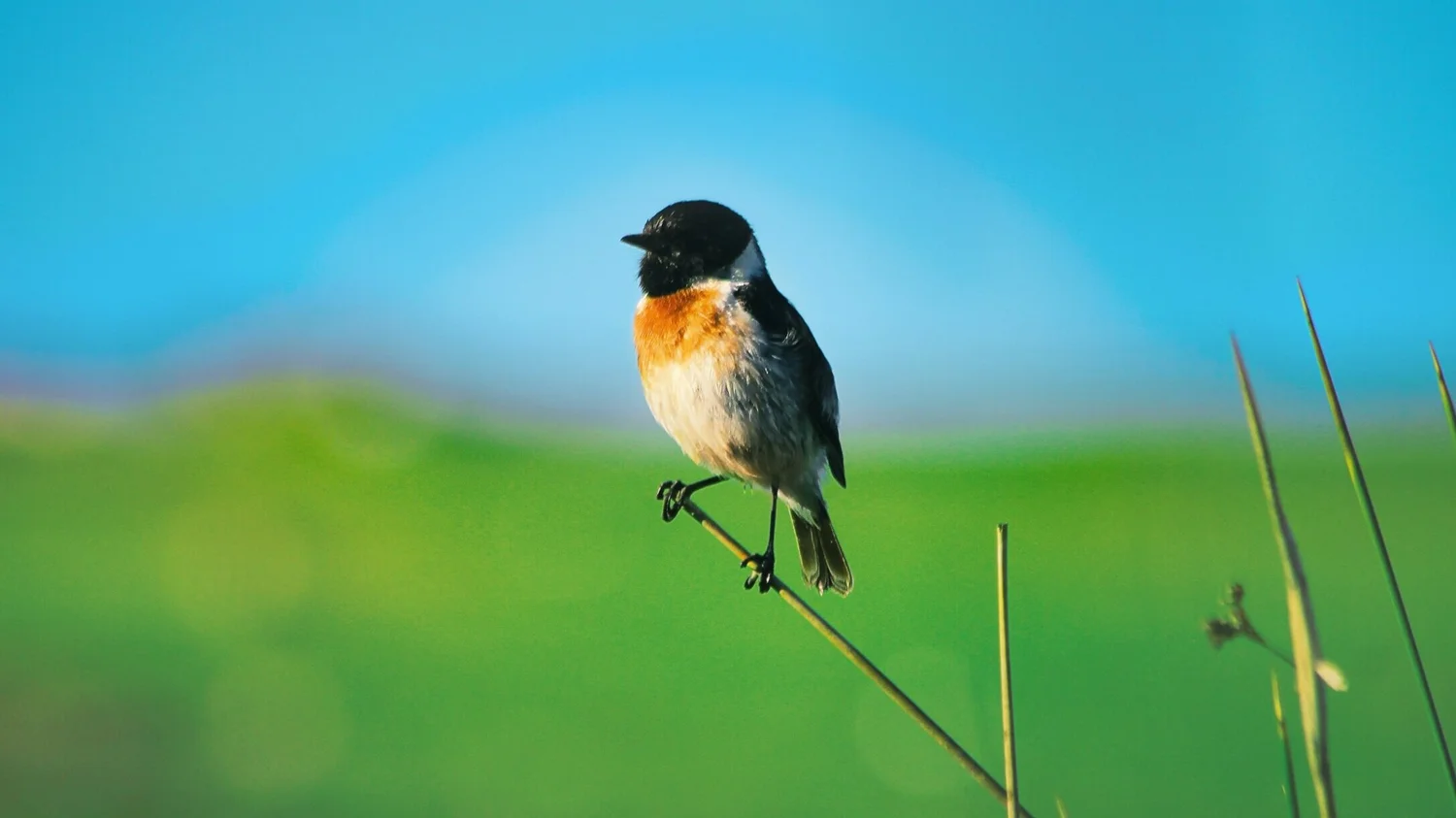 Photo by  Aziz Acharki  on  Unsplash