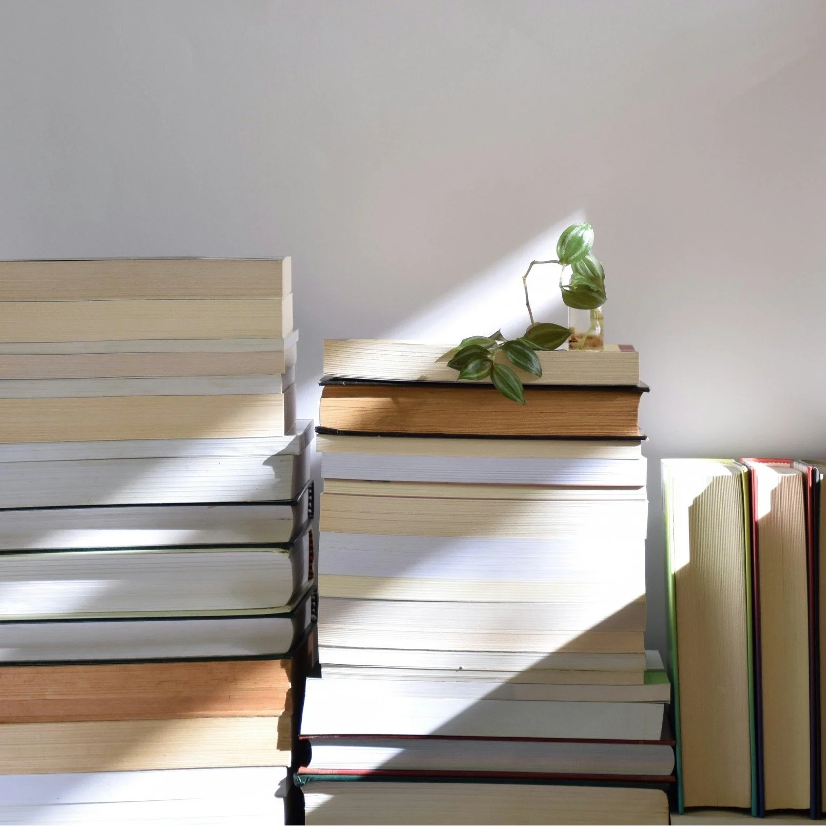 Evangelical books in Ukrainian