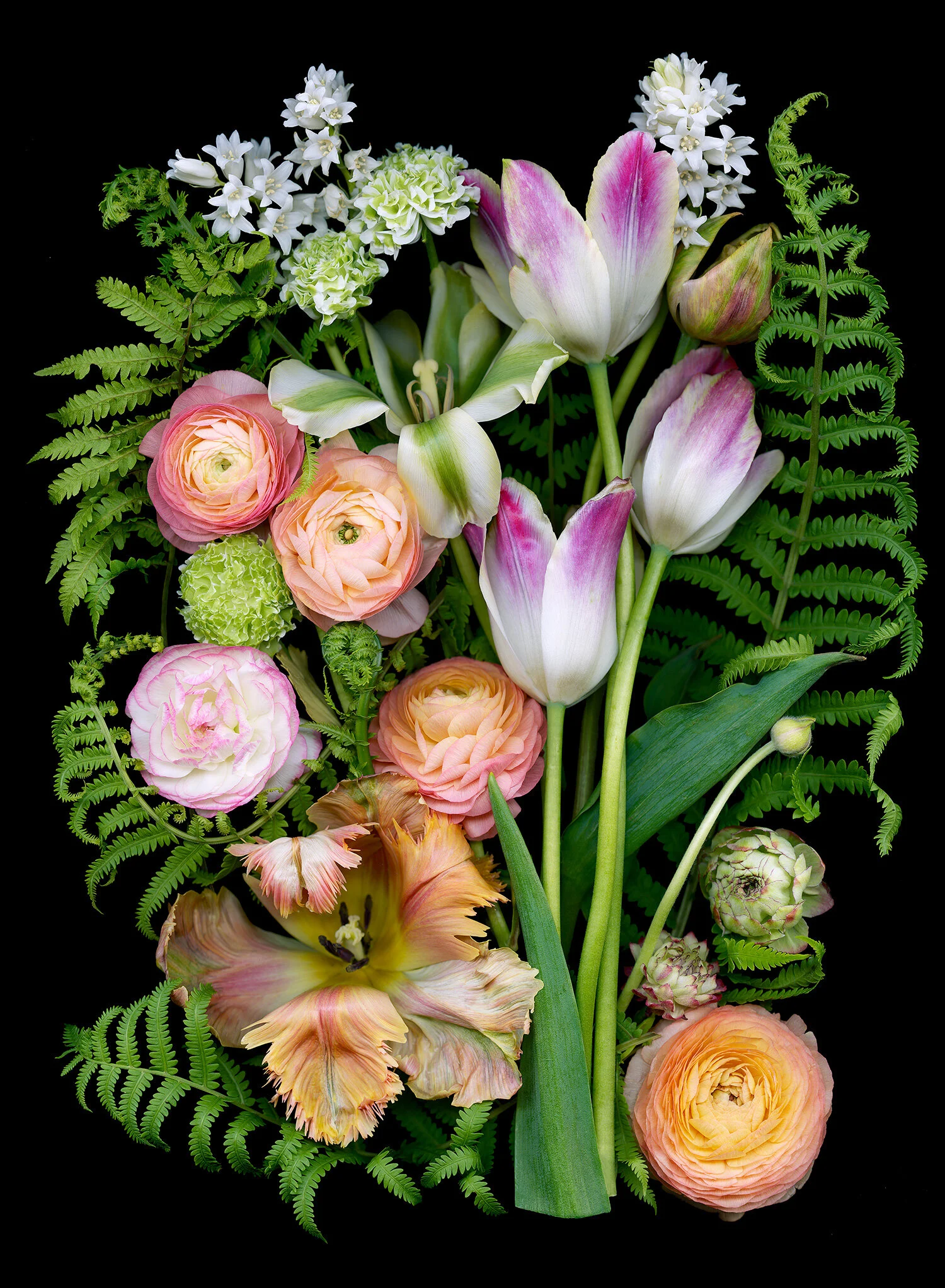 Late Spring Flowers