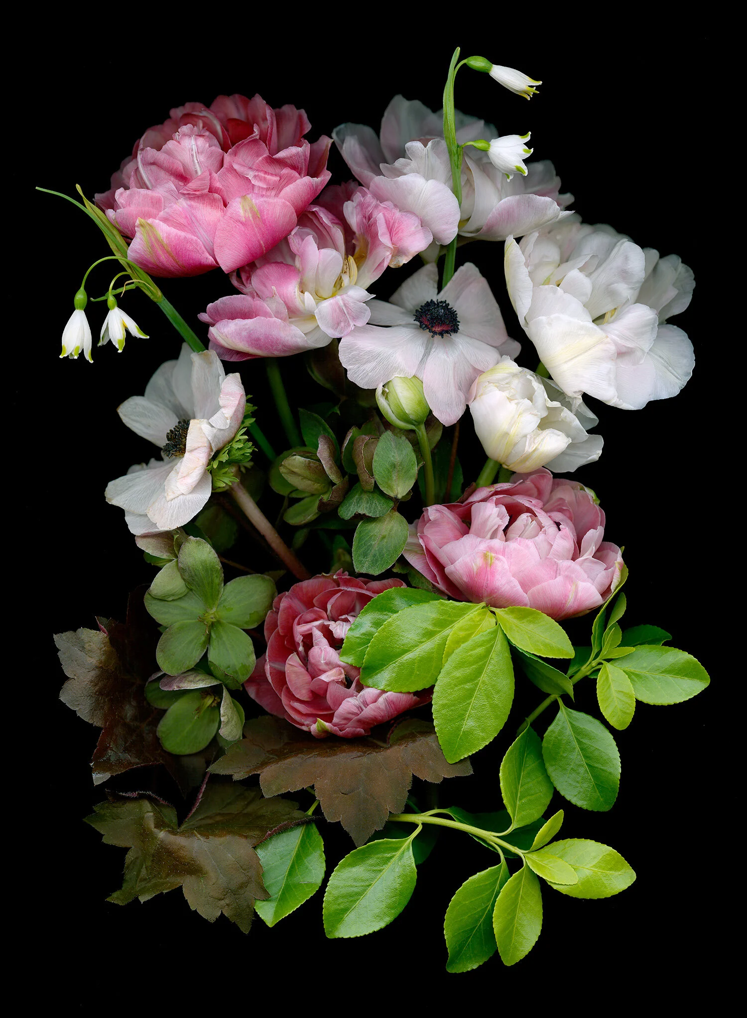 Peonies, Leucojum aestivum, anenomes