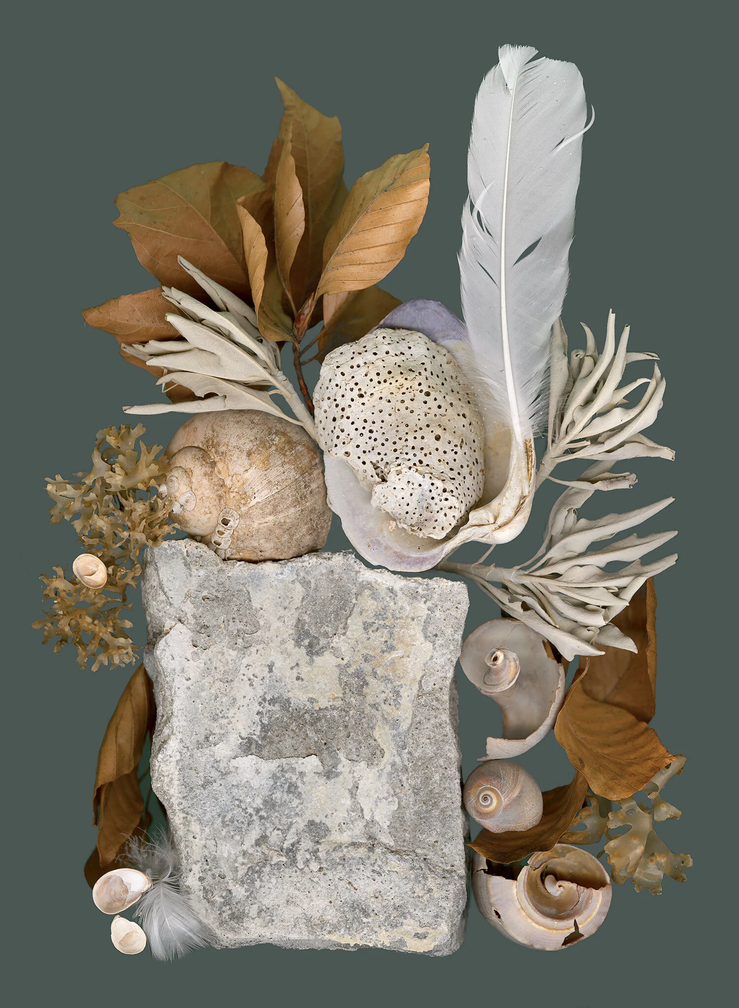 beach-collection-grey.jpg