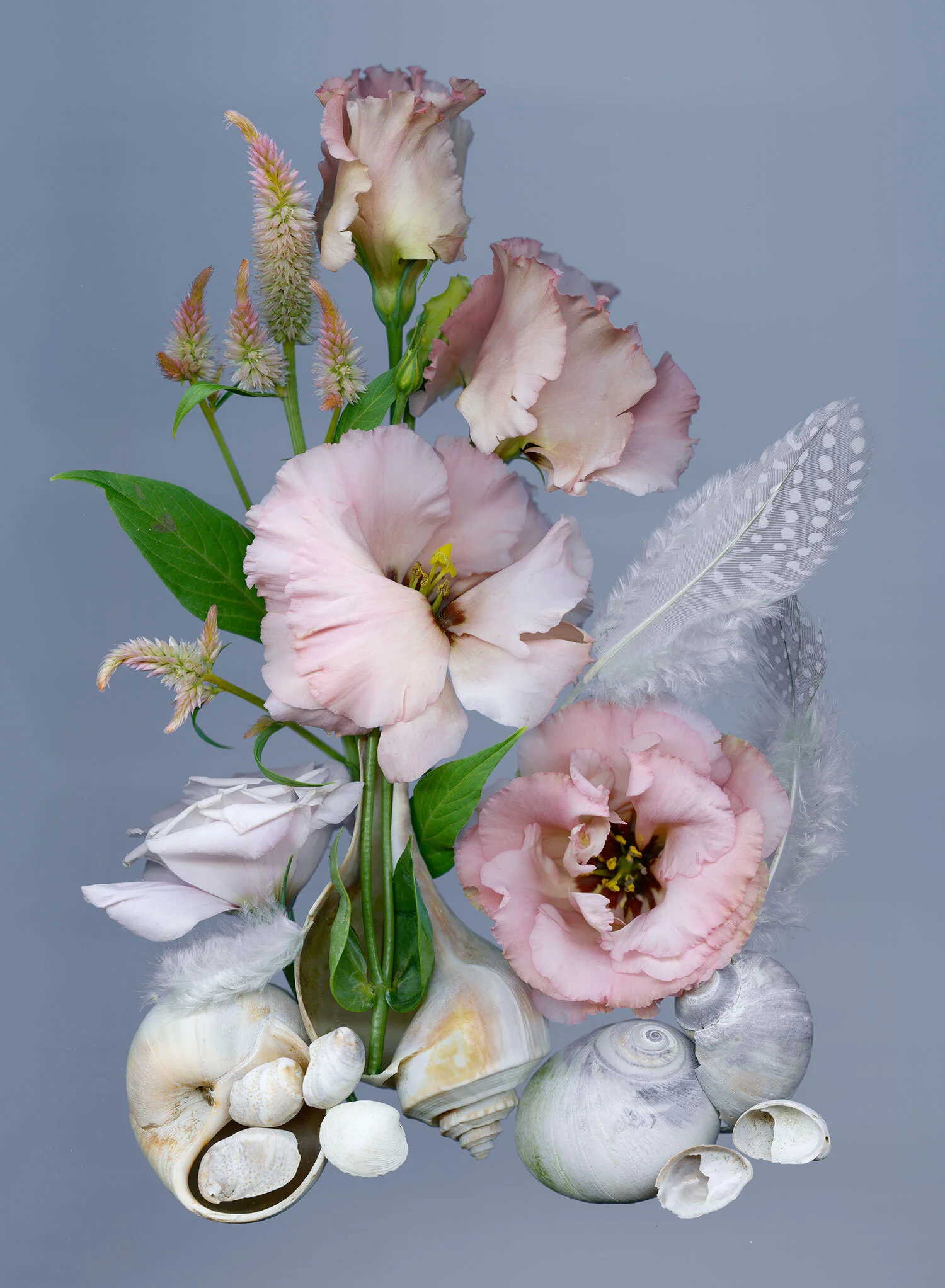 birthday-martha-nl-bluegrey-clean.jpg