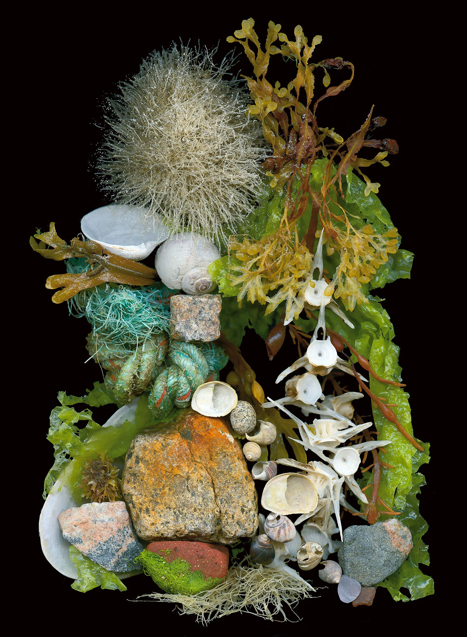 crane_beach_treasures.jpg