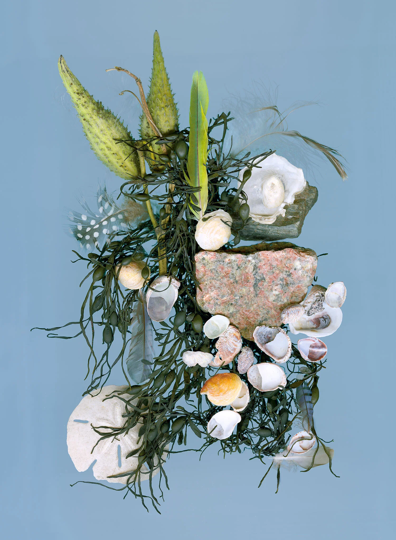 shells-west-haven.jpg