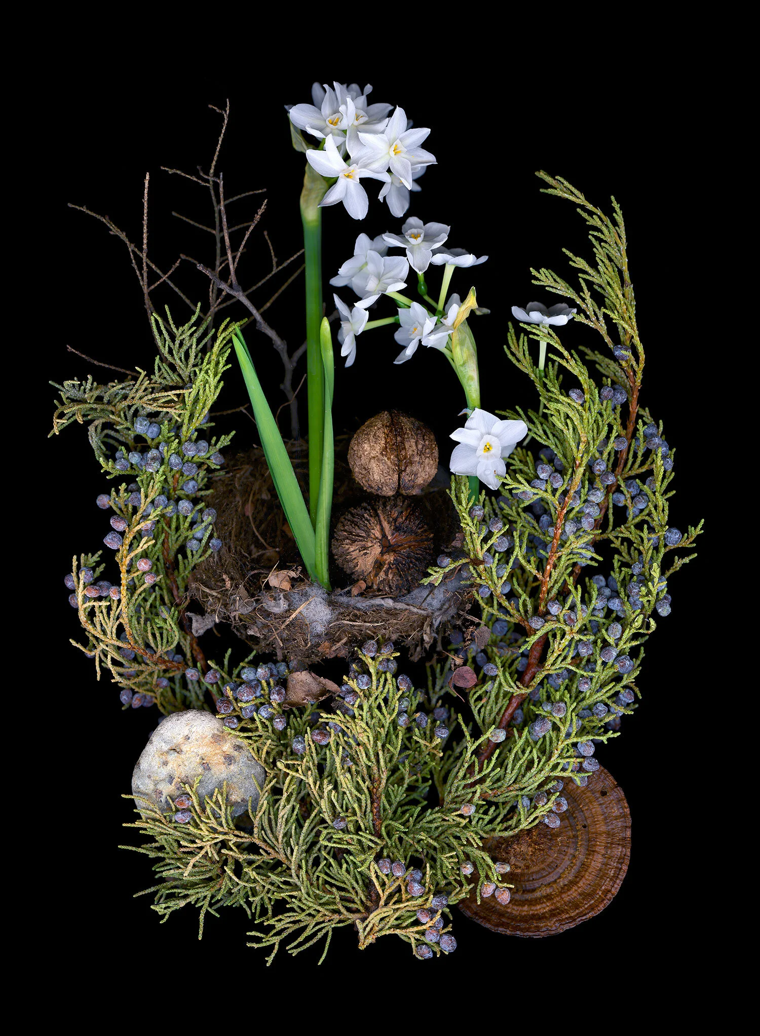 nest-arrangement.jpg