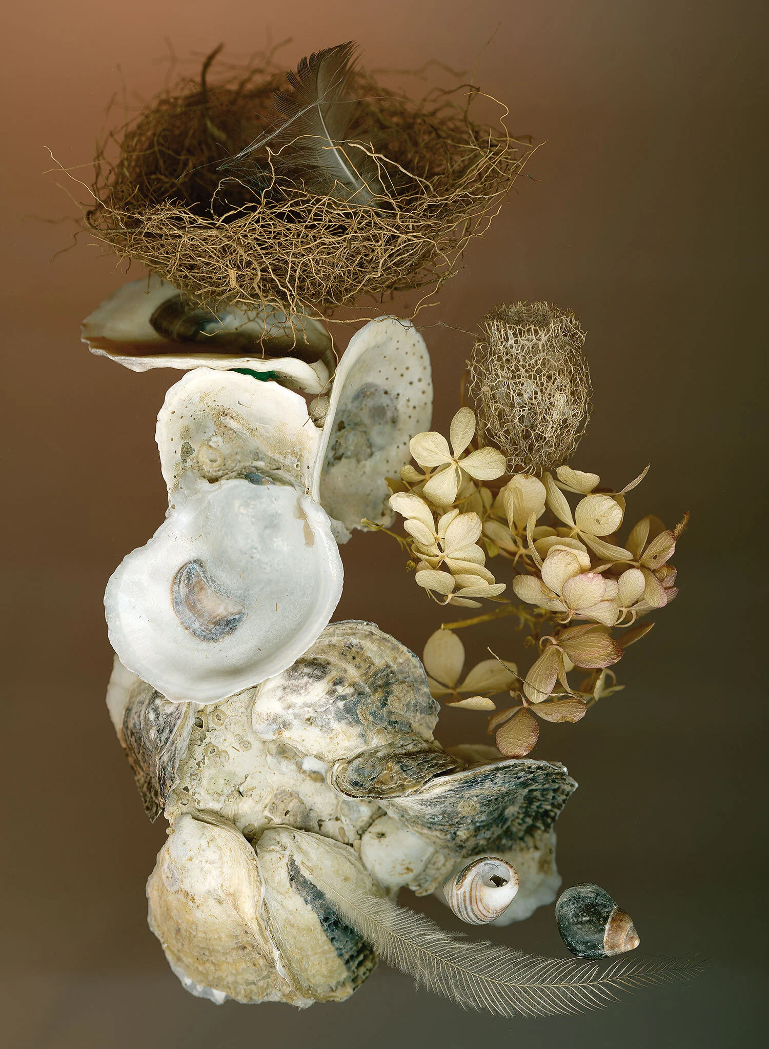Natural Balance