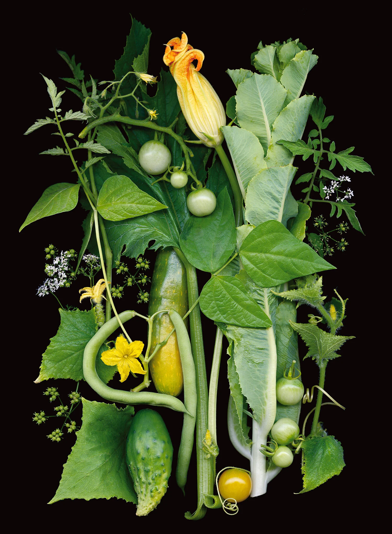 colleens_garden.jpg