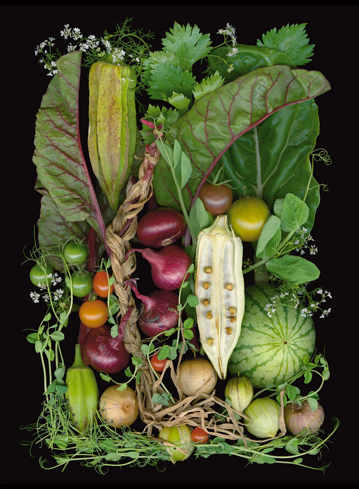 dudley_harvest_melange.jpg