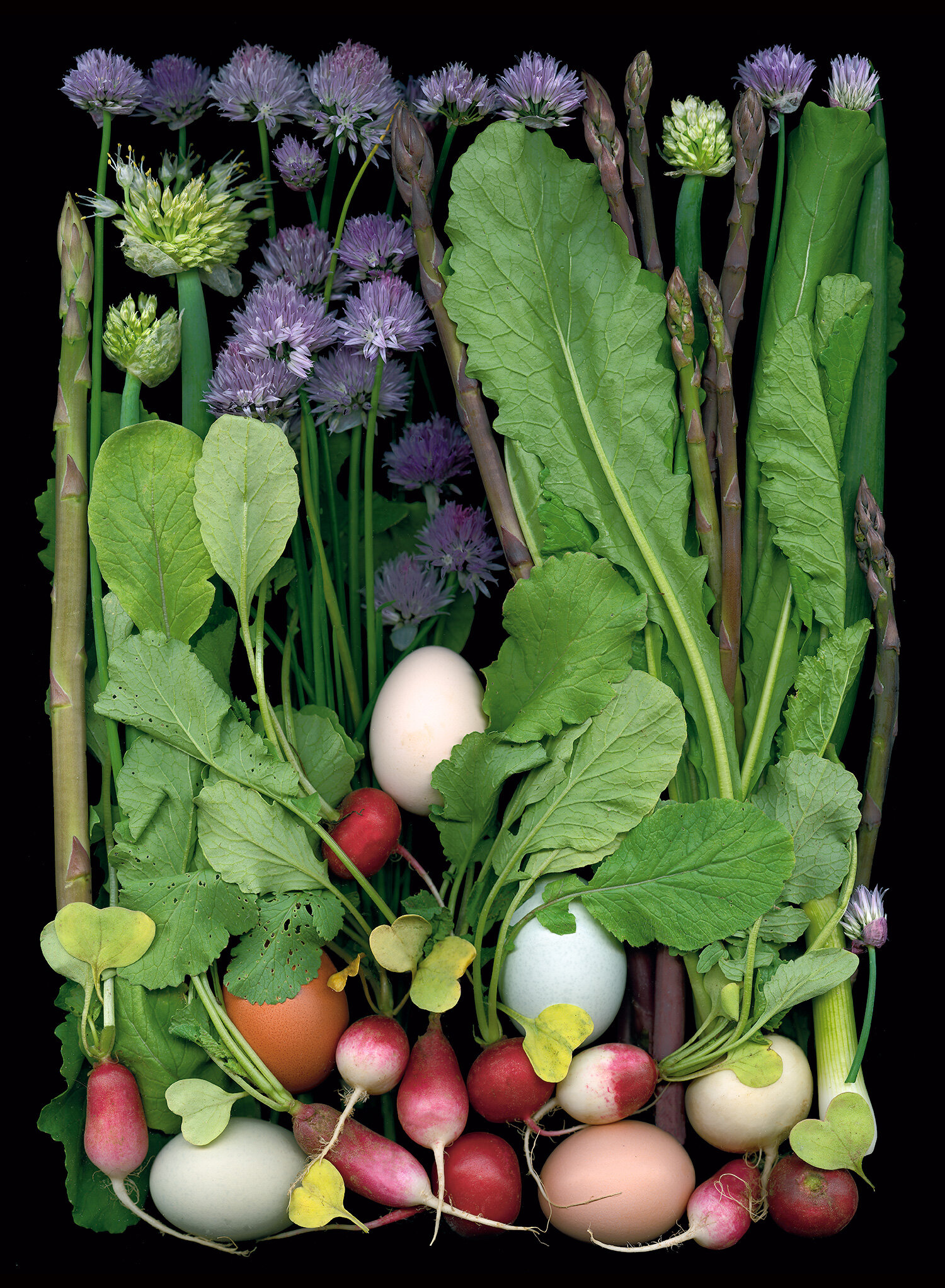 edibles-mosaic.jpg