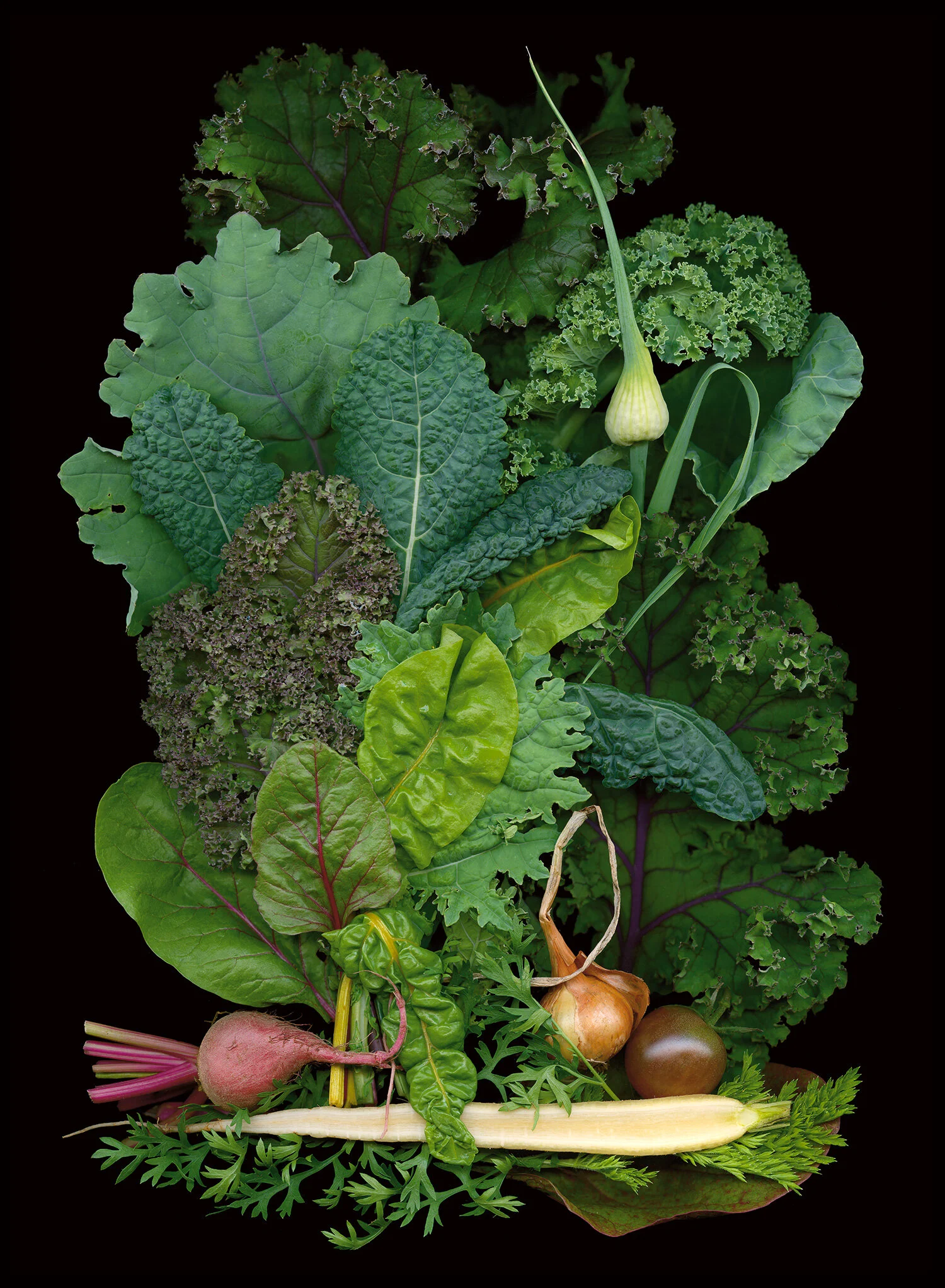 edible_foliage.jpg