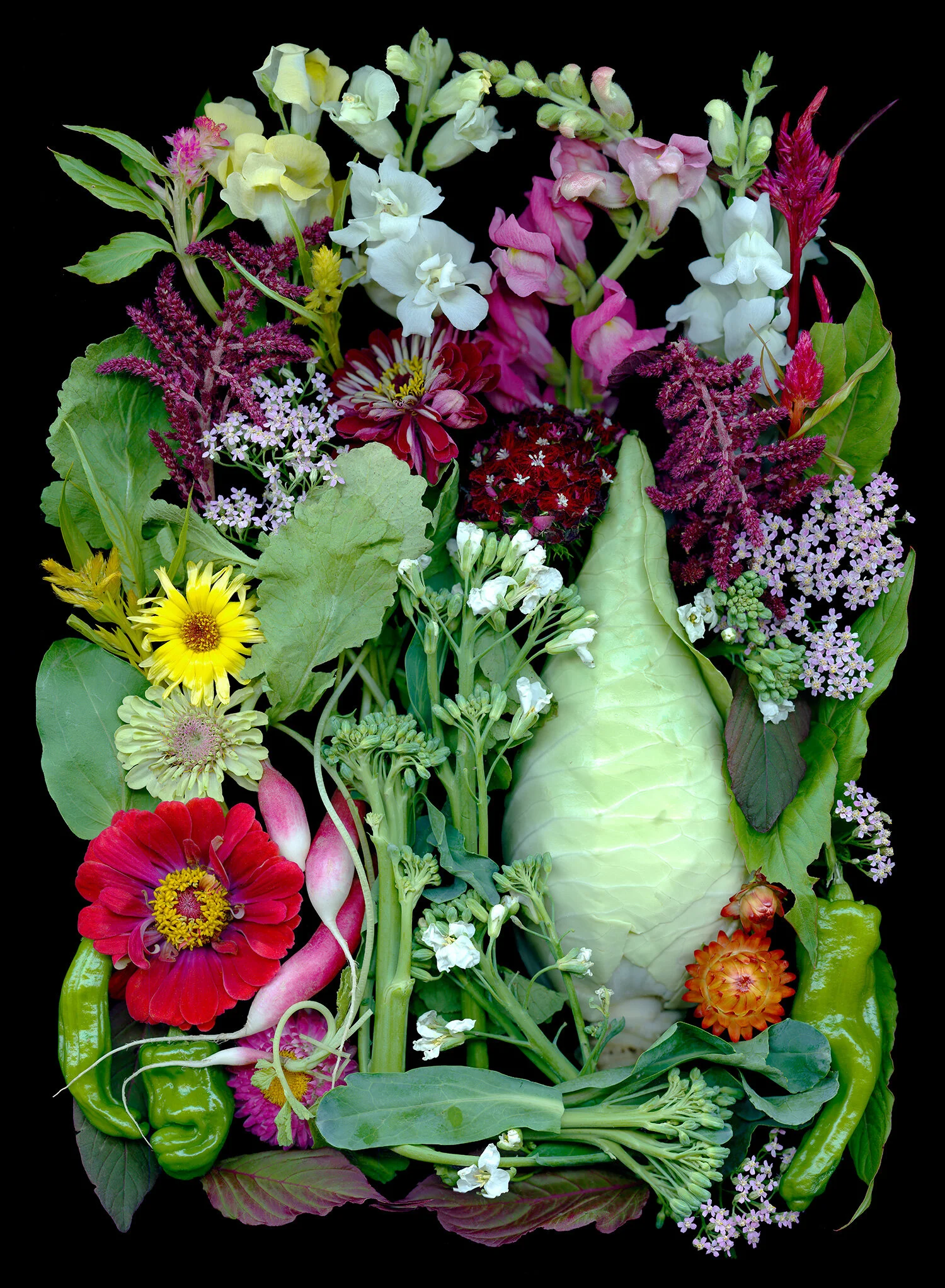 farm_market_broccoli_tall_cabbage.jpg