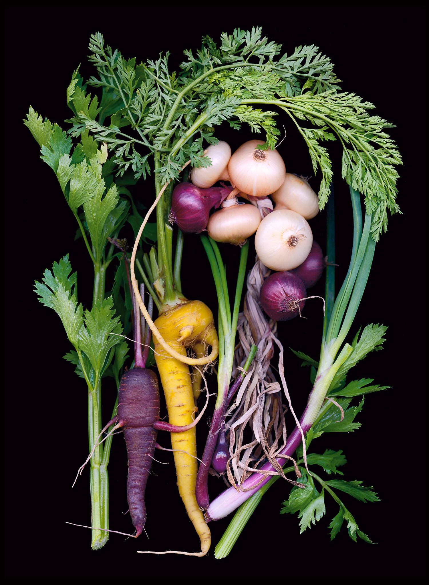 mirepoix.jpg