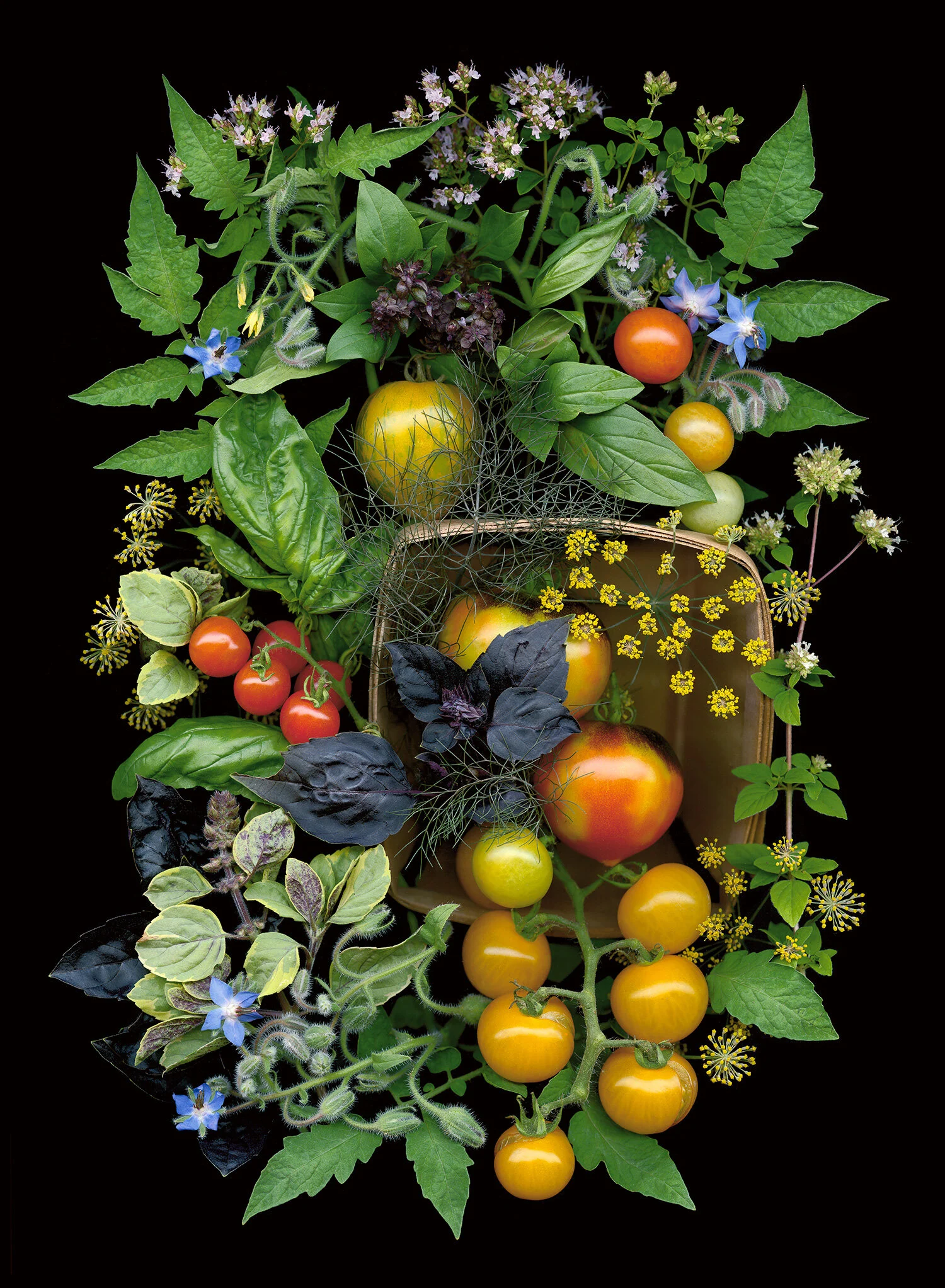 tlf_farmstand.jpg