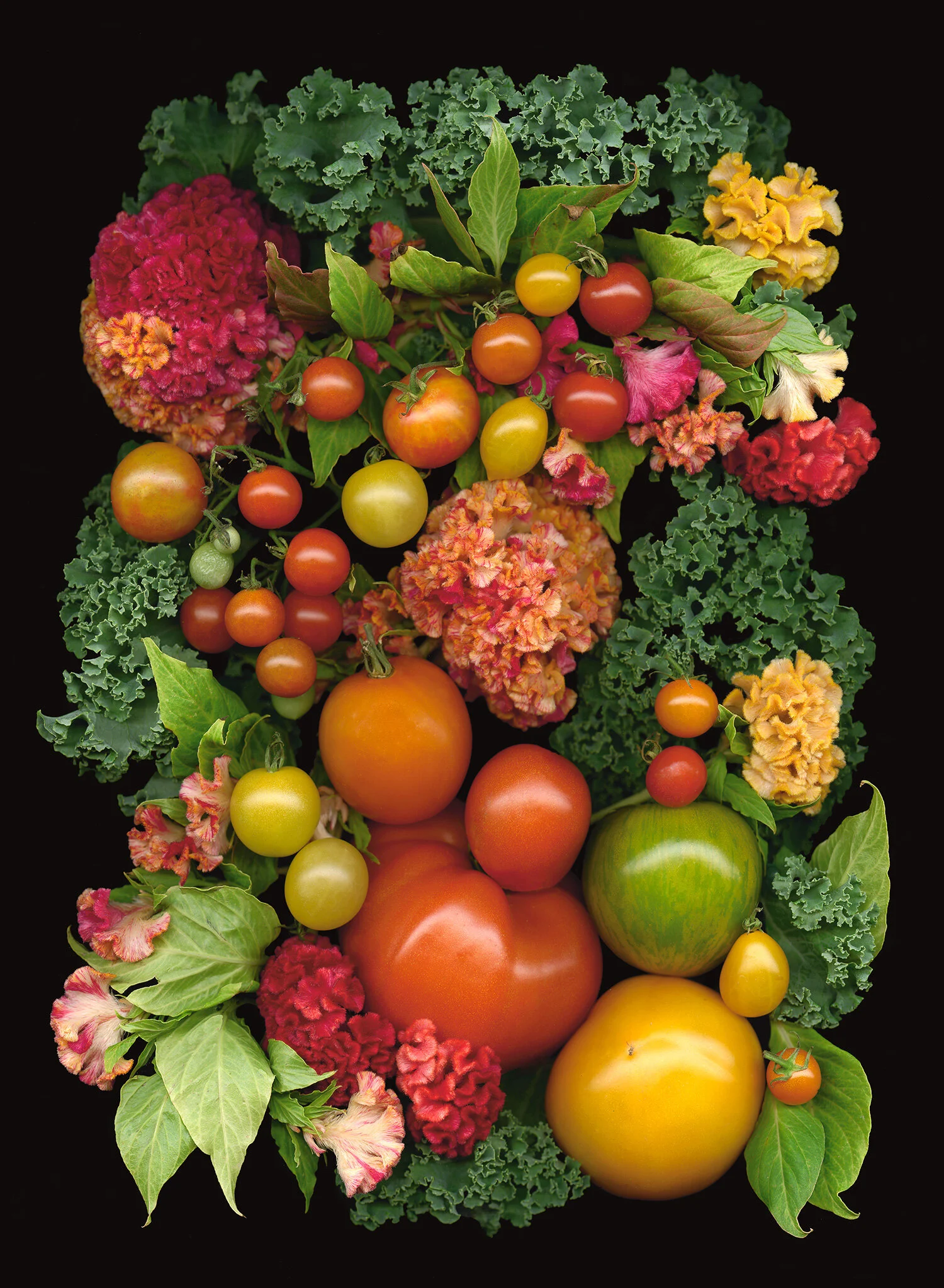 tomato-celosia.jpg