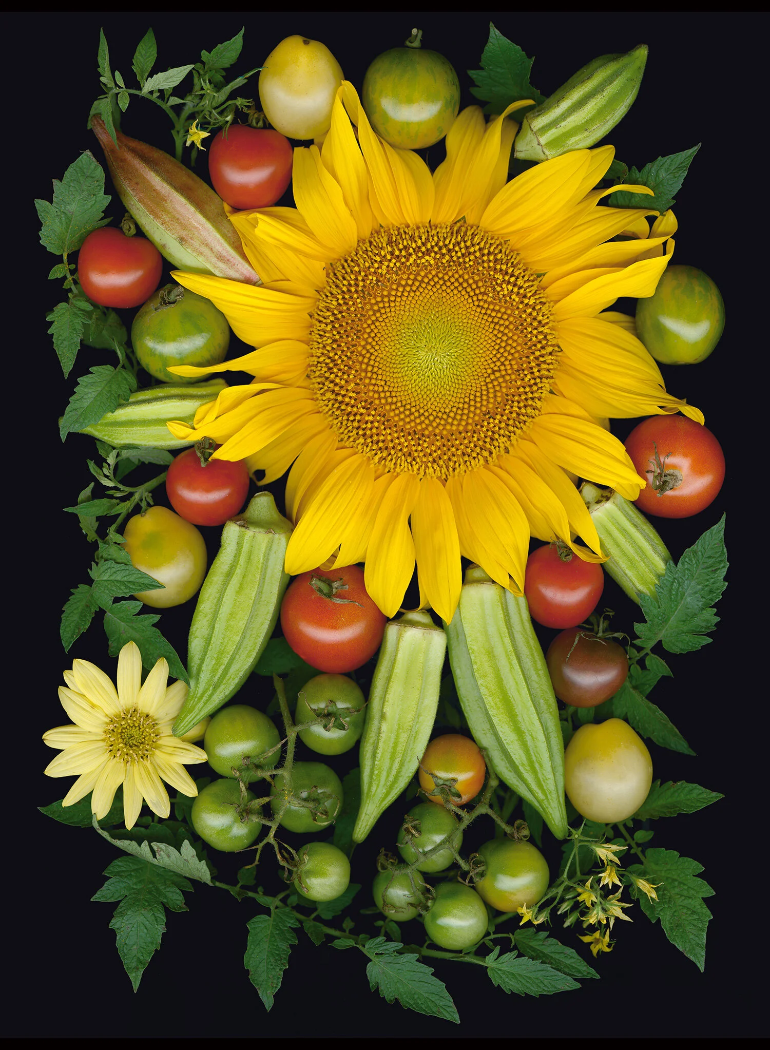 sunburst_mosaic.jpg