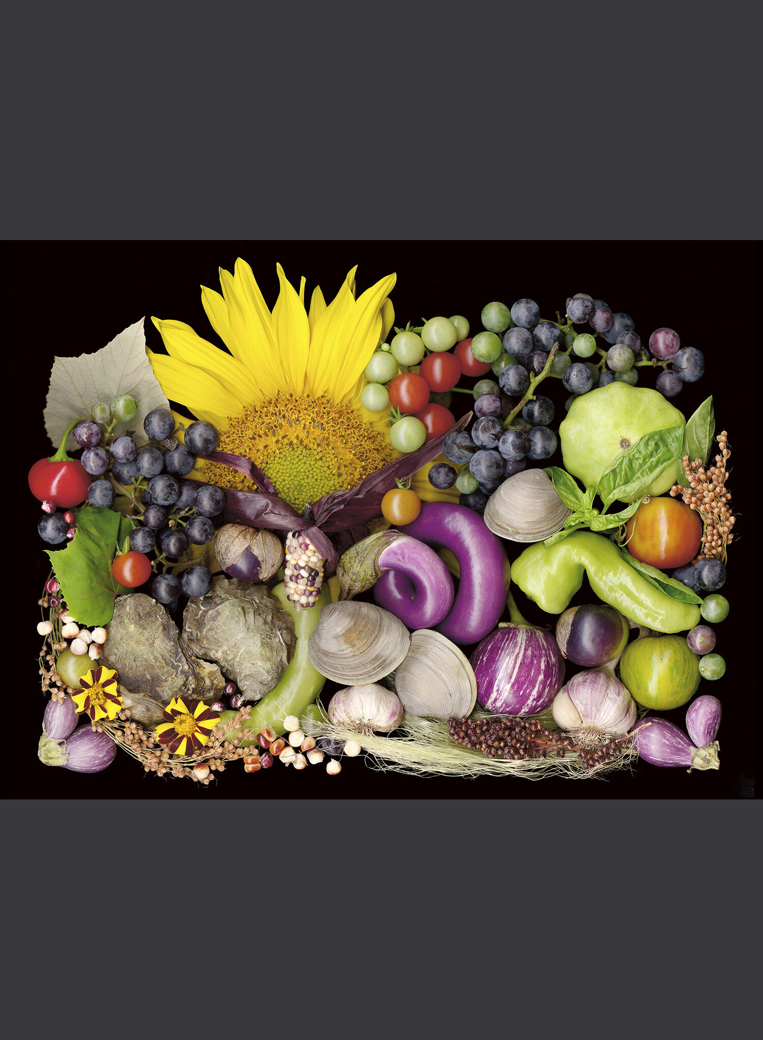 Harvest Mosaic