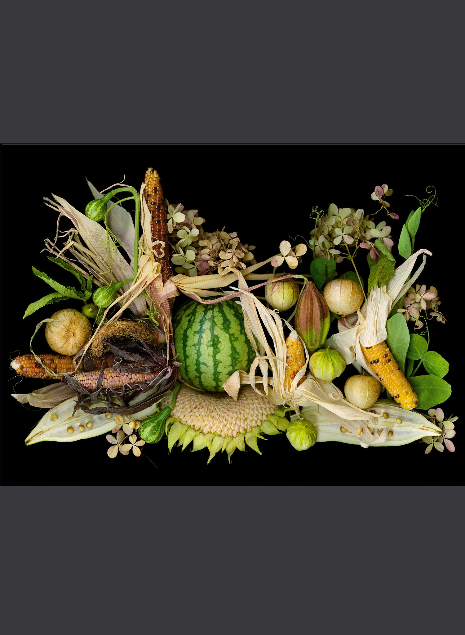 Gentle Harvest