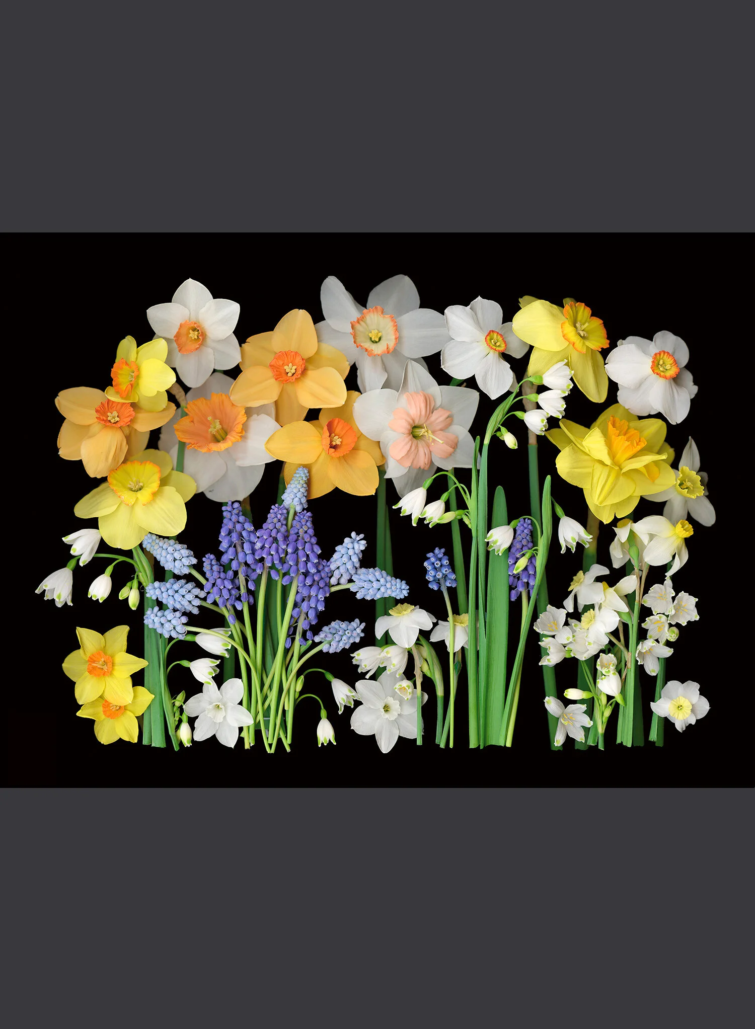Spring Garden