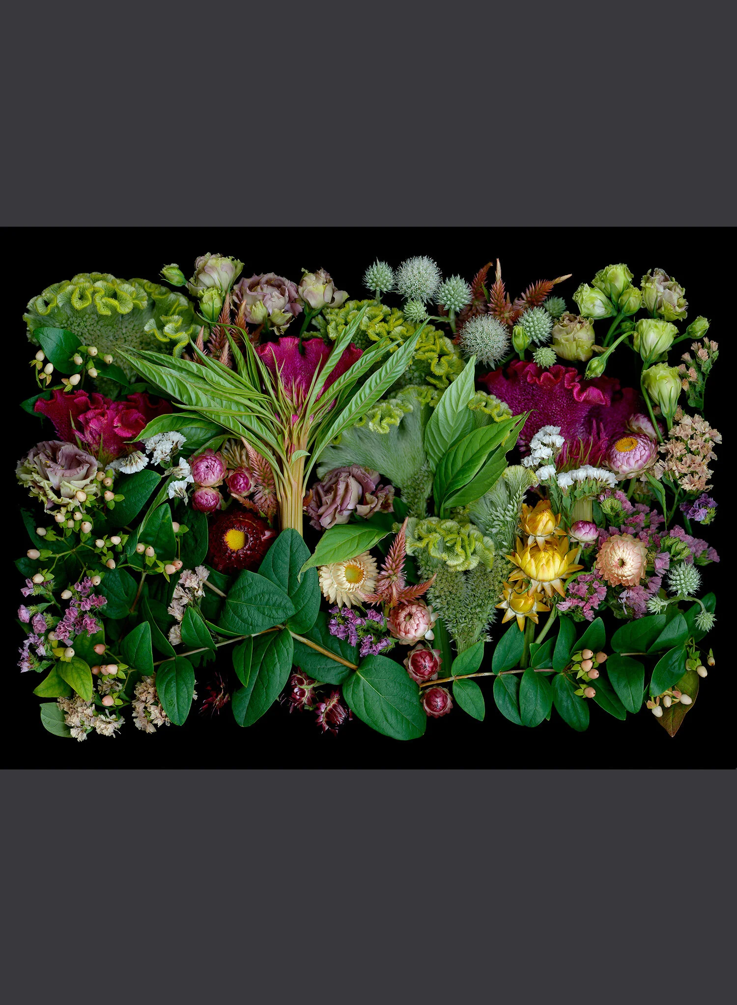 celosia tapestry.jpg