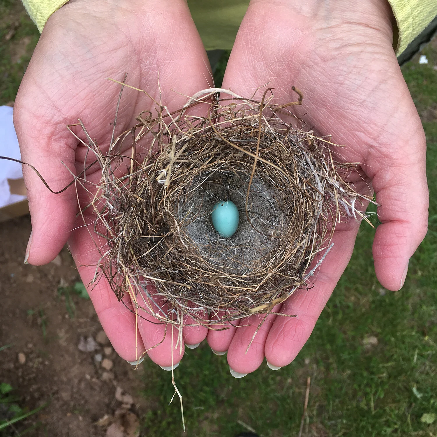 my-hands-michaels-egg.jpg