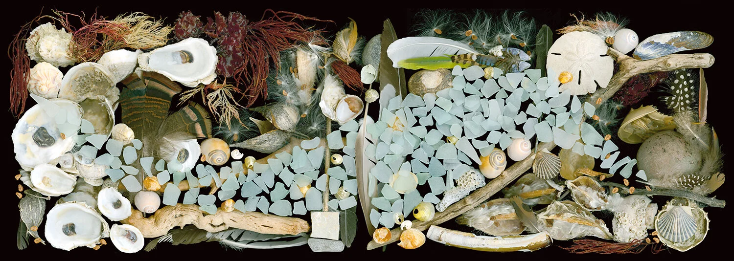 shells_ts_panel4 copy.jpg