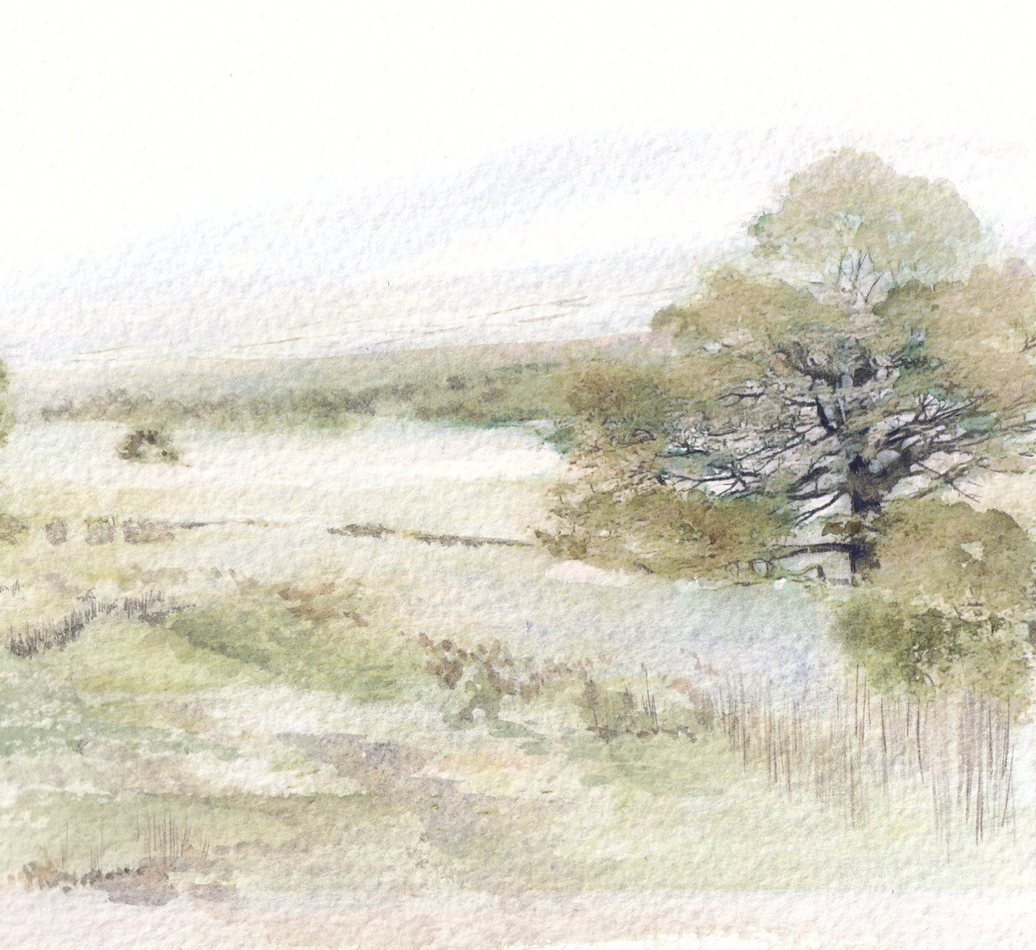 Tree and Fields, Hope Valley