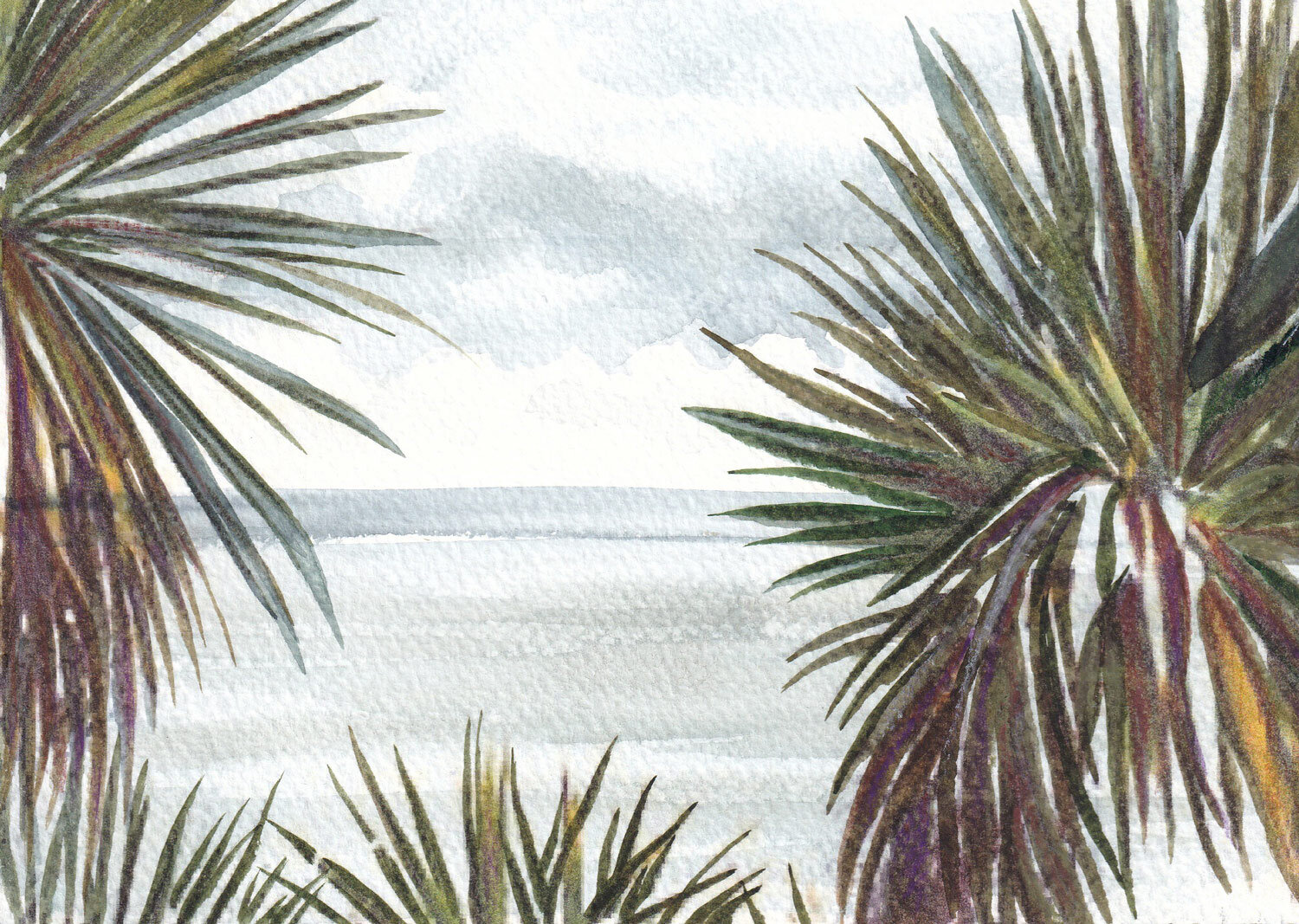 Dorset Palms by the Sea