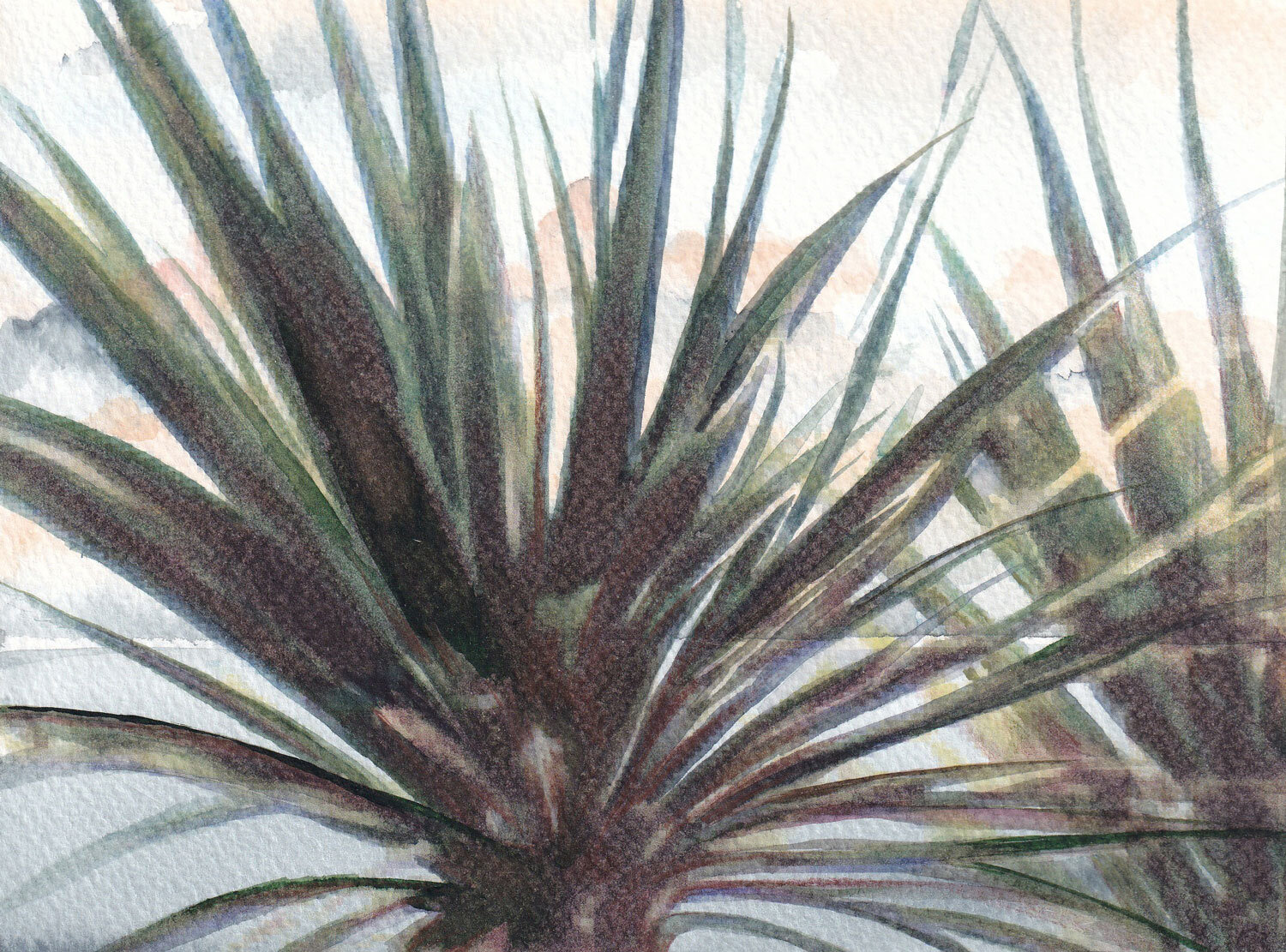 In the Palms