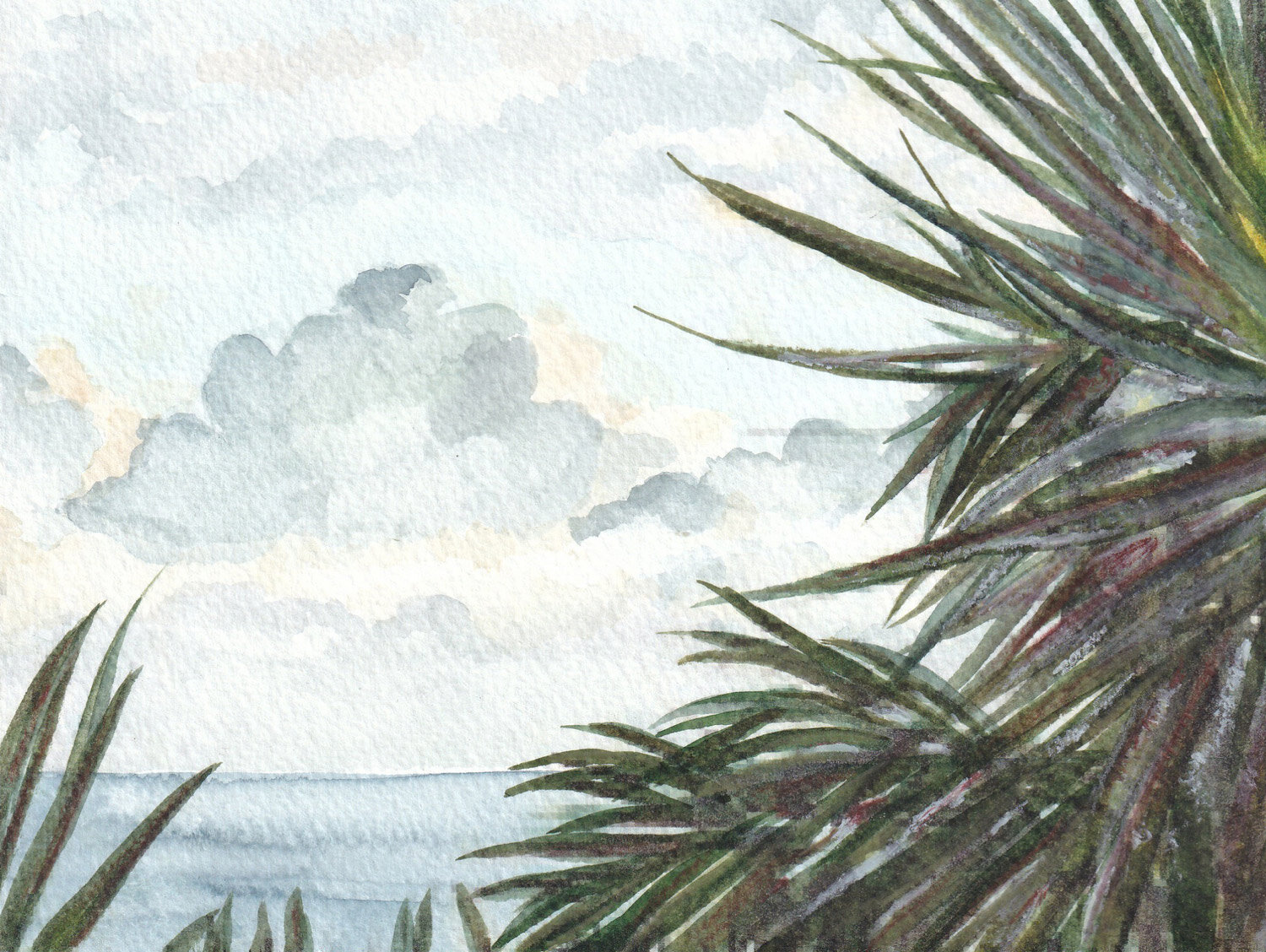 Framed by Dorset Palms