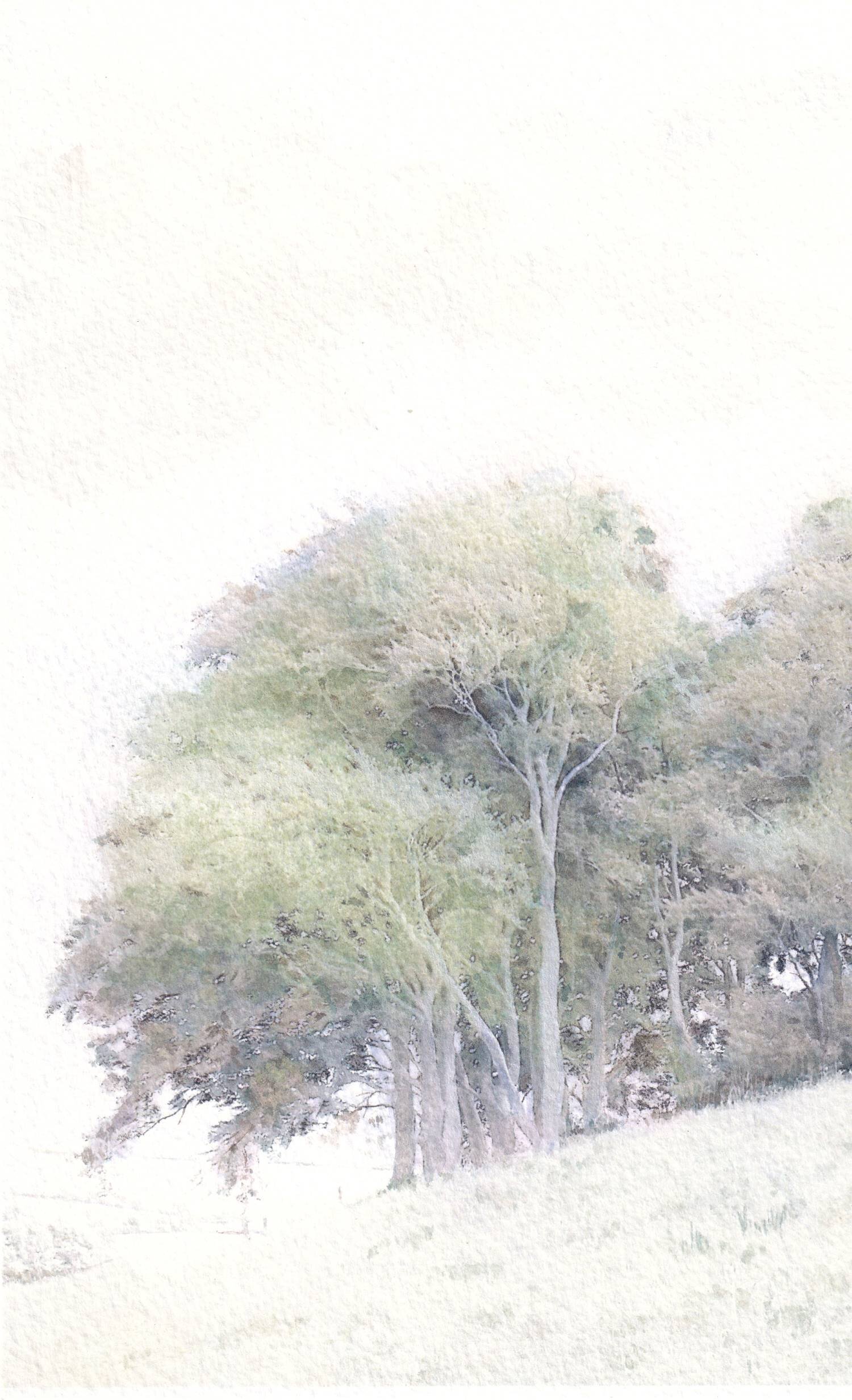 Trees Near Wiltshire White Horse  SOLD