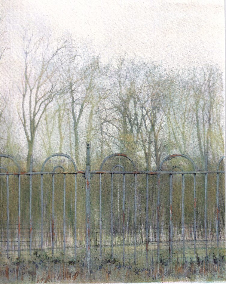 Line of trees with railing