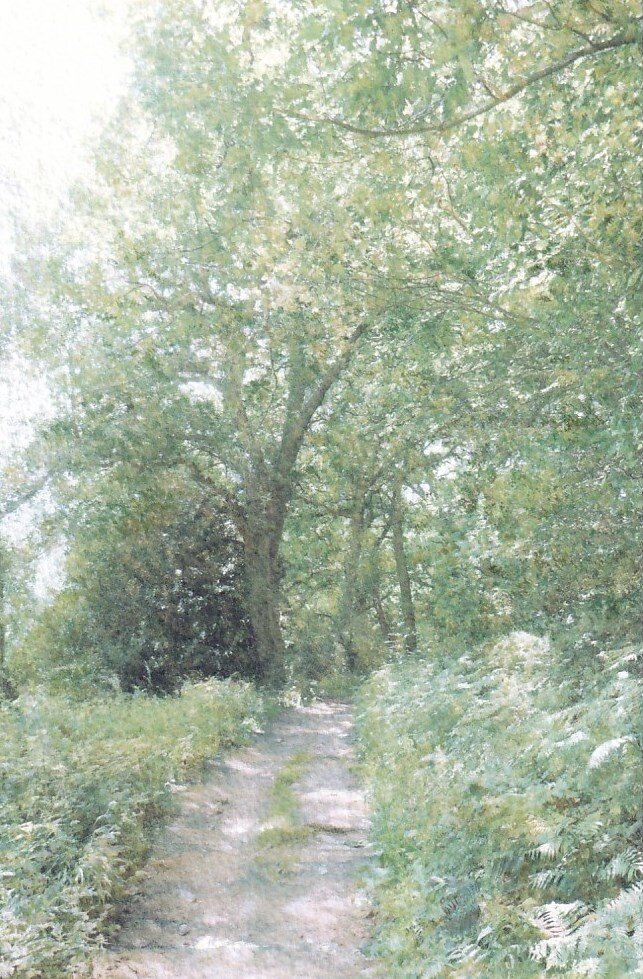 Swithland Woods Pathway  SOLD