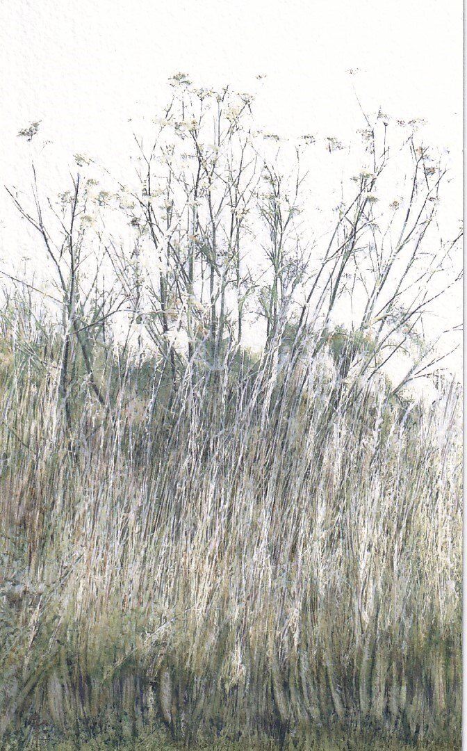 In the Grasses