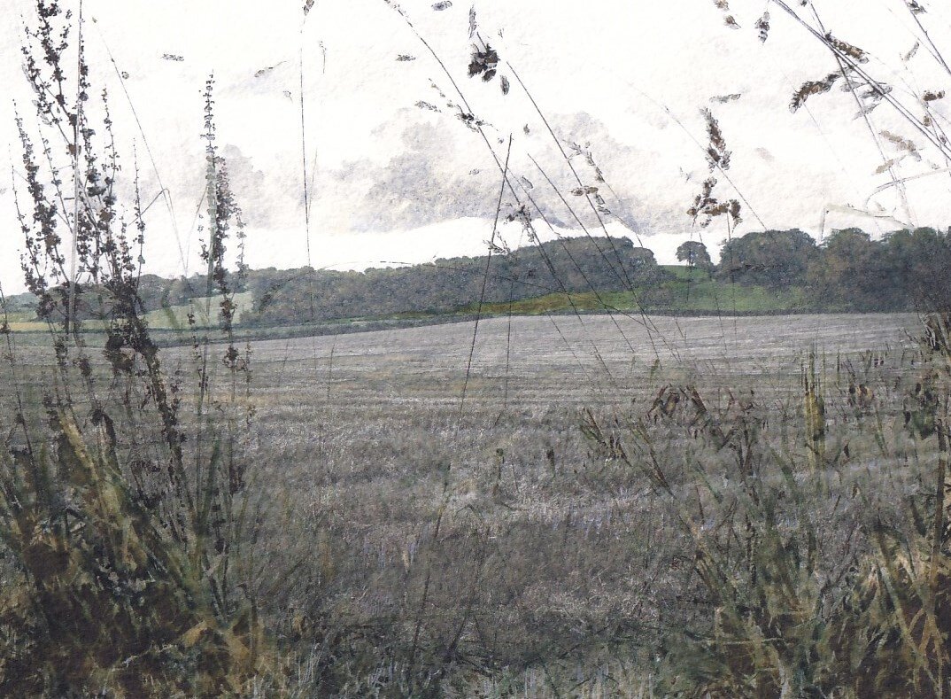 Fields with Early Frost  SOLD