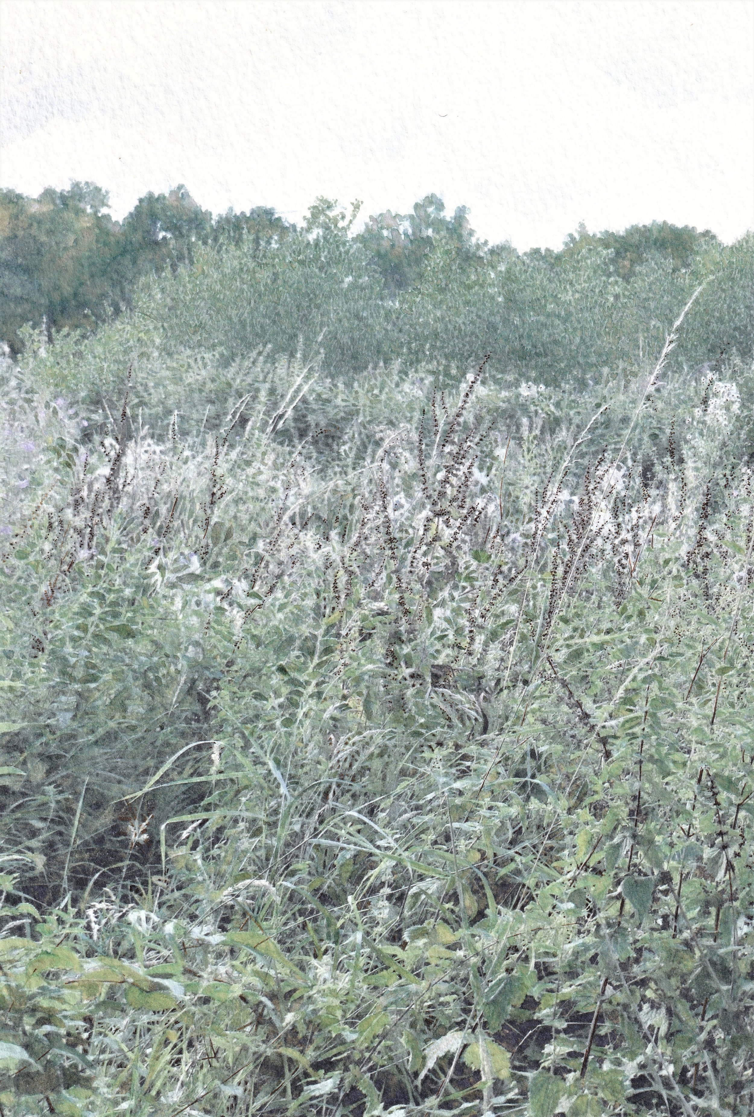 From the Hedgerow to the Trees