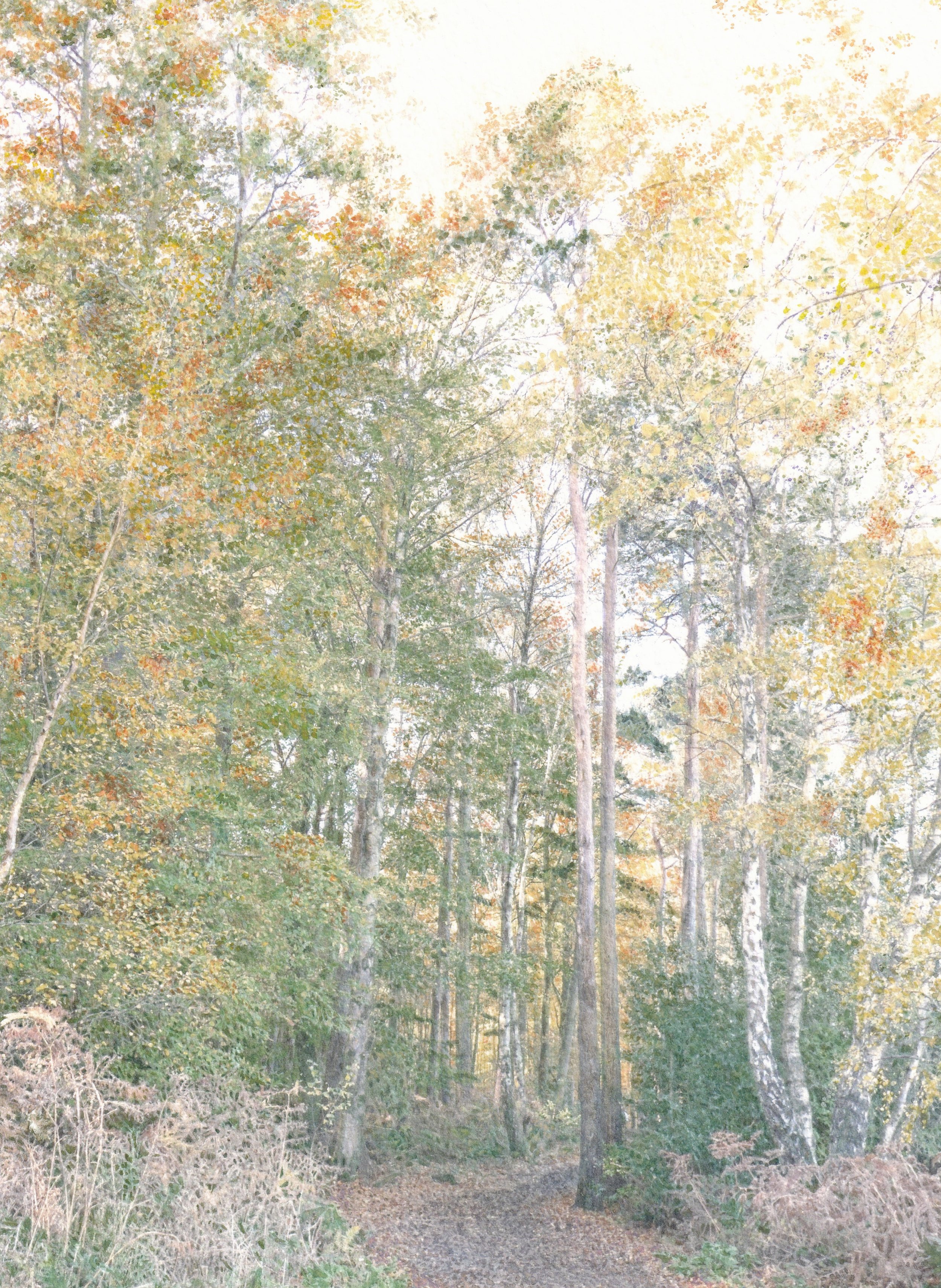 Along the Autumnal Path