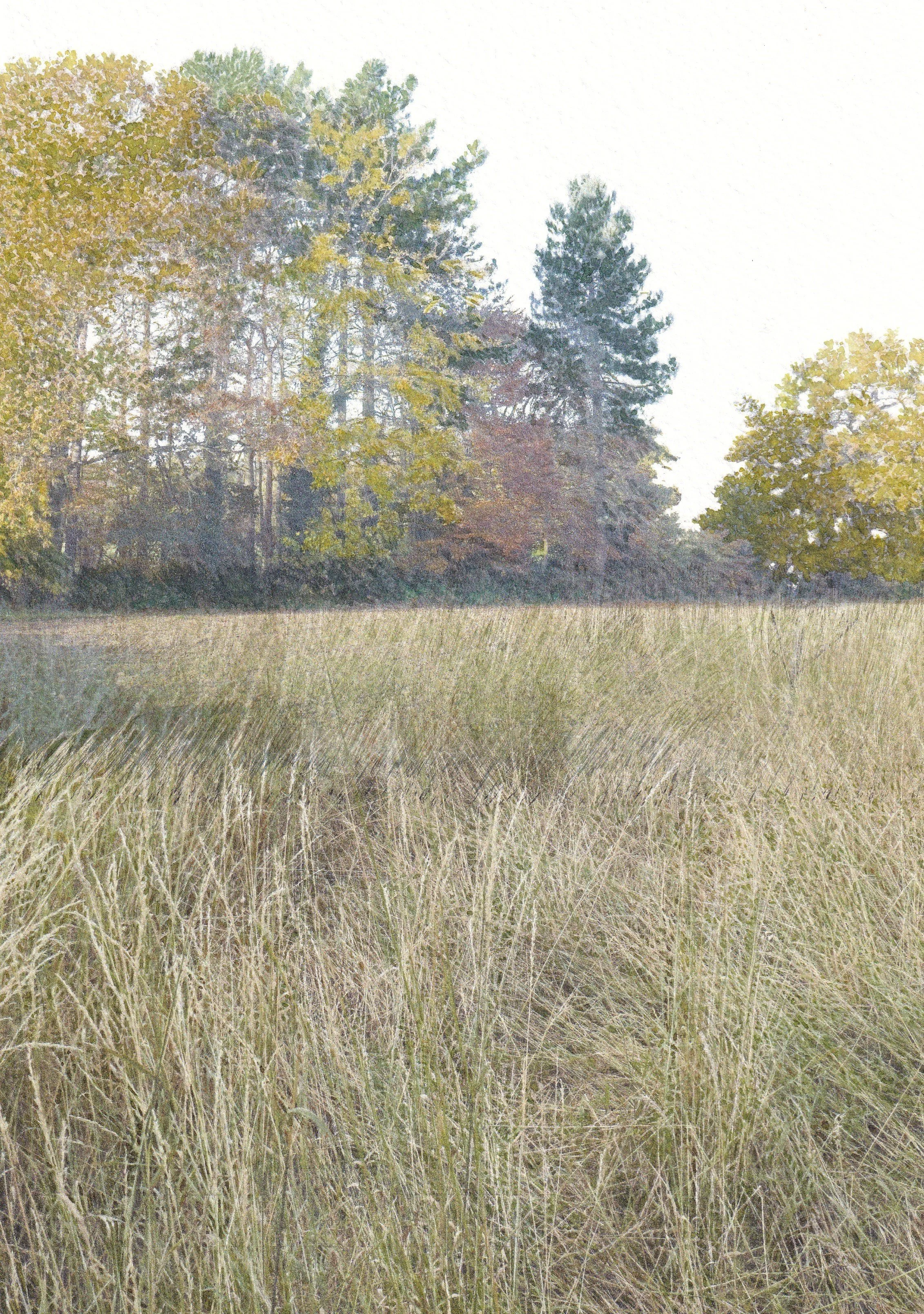 Emergence of Autumn