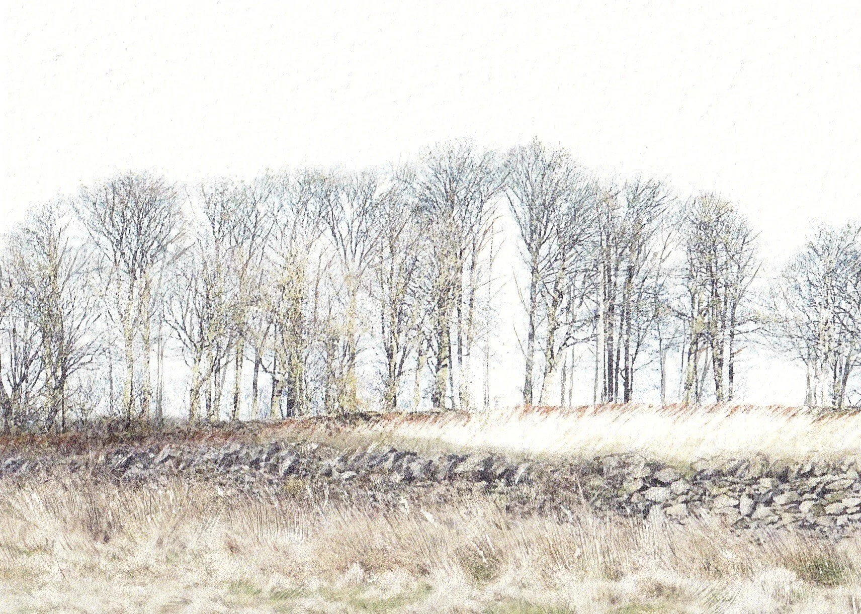 Winter Trees and Wall