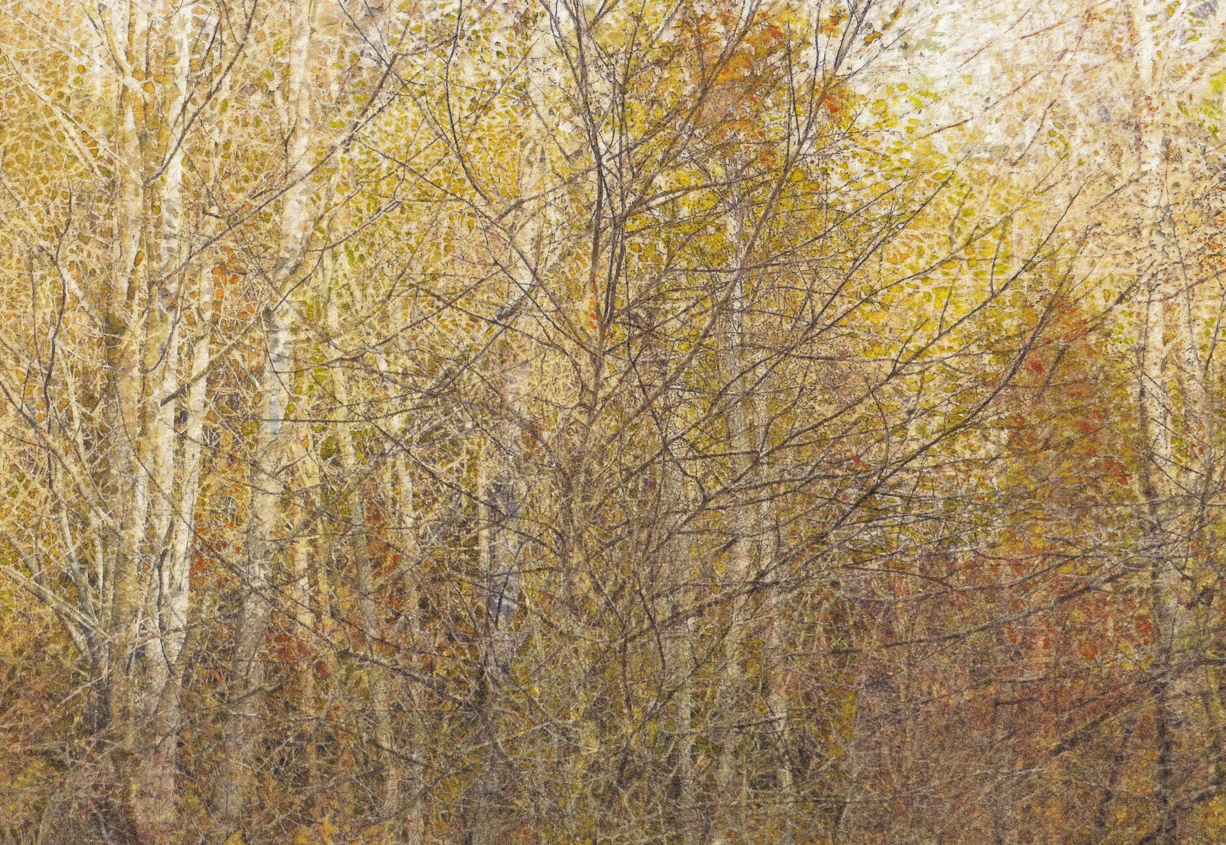 In the Autumnal Trees