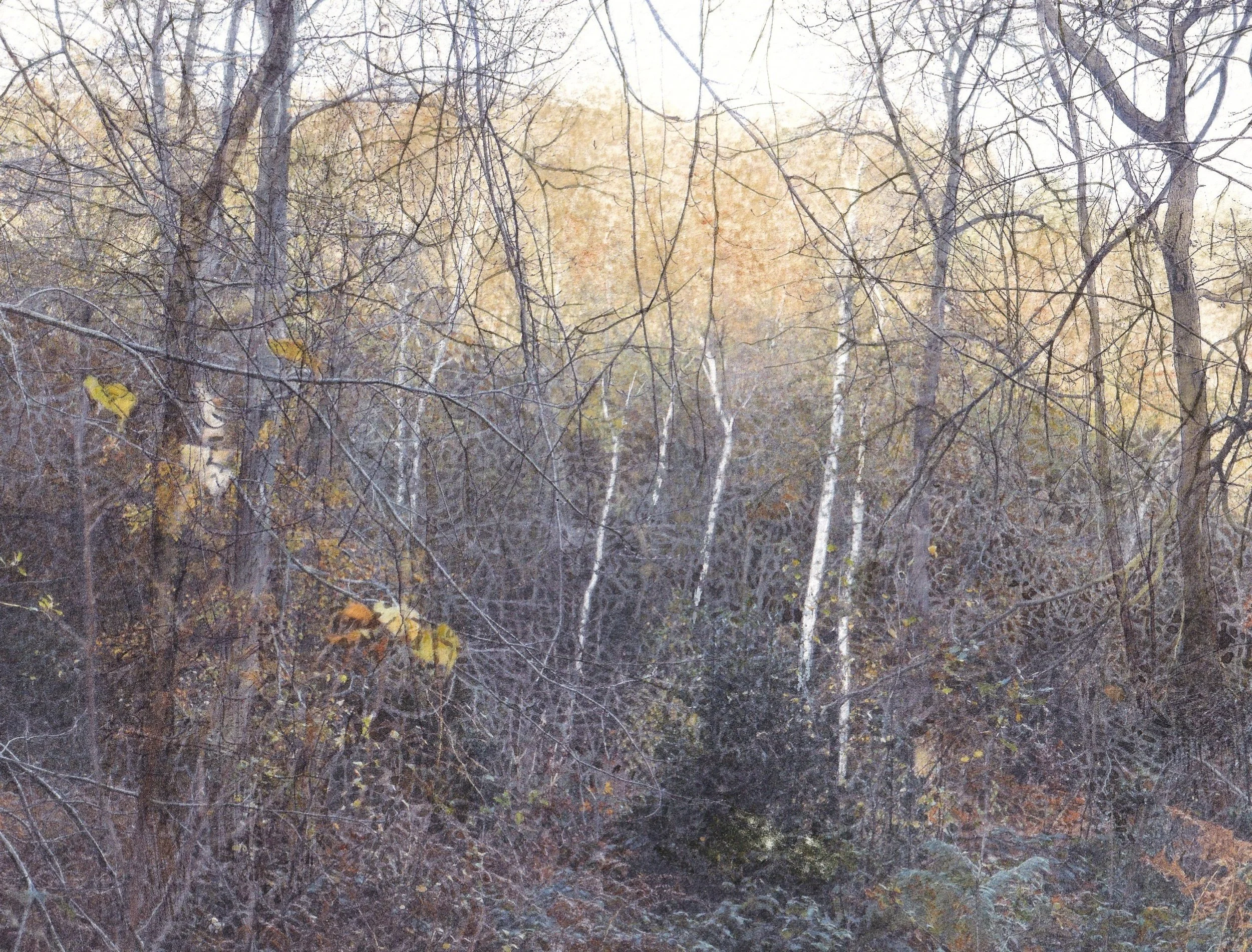 Finding a Way Through