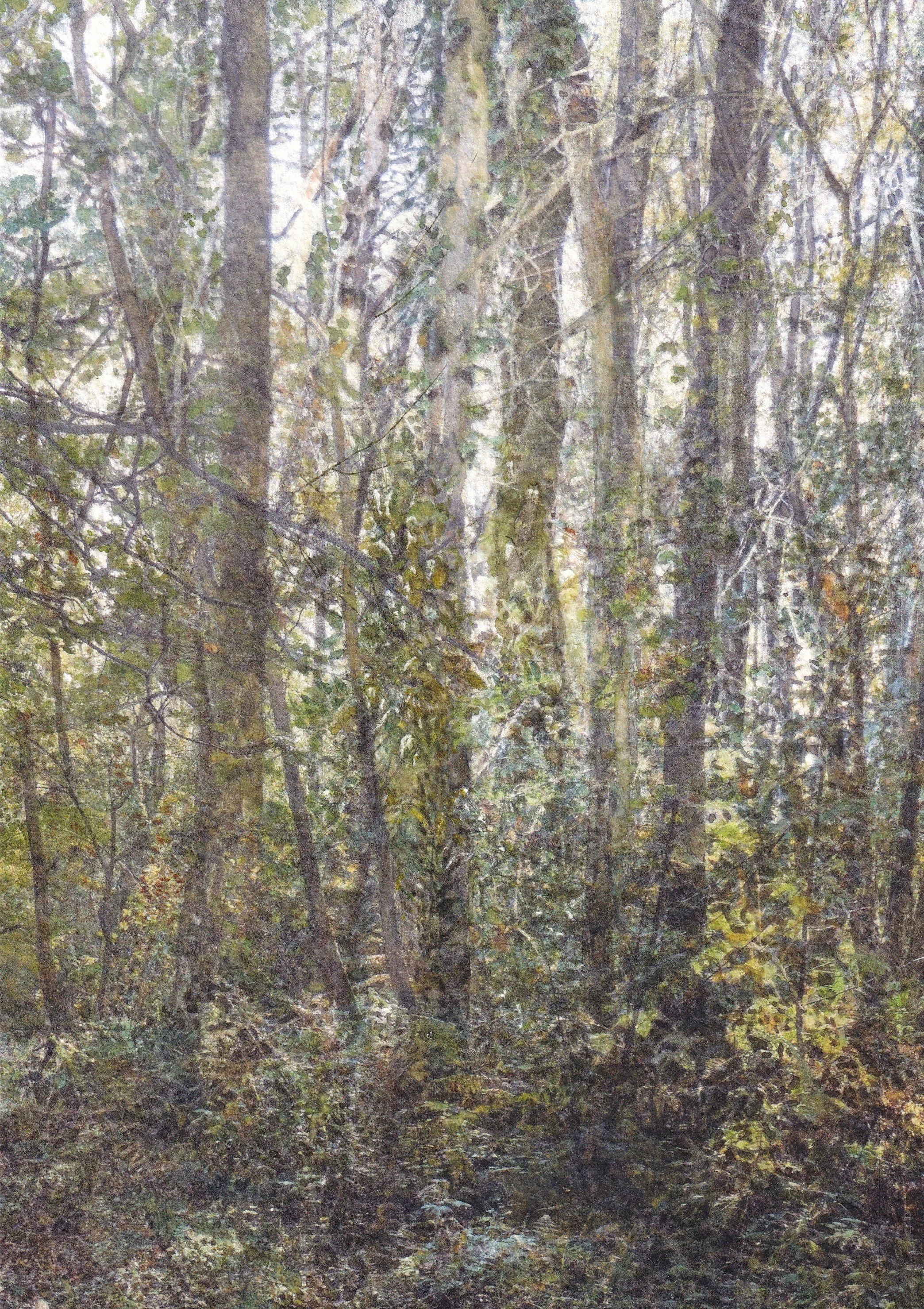Traces of Spring