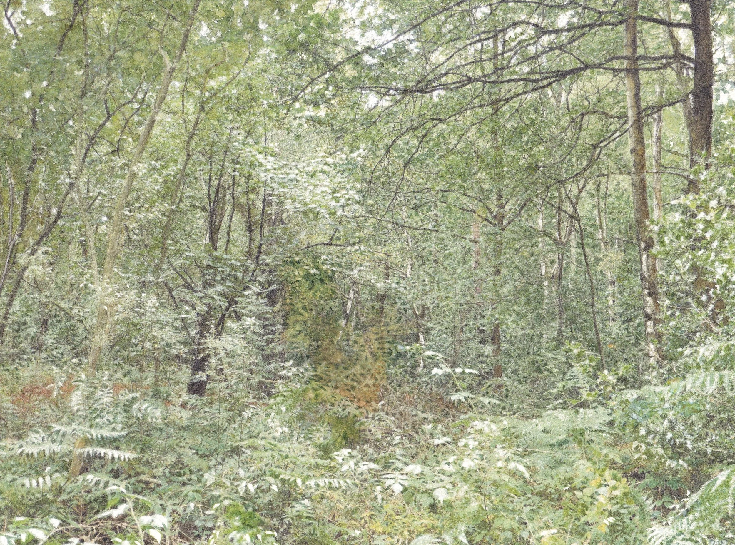 An Abundance of Green
